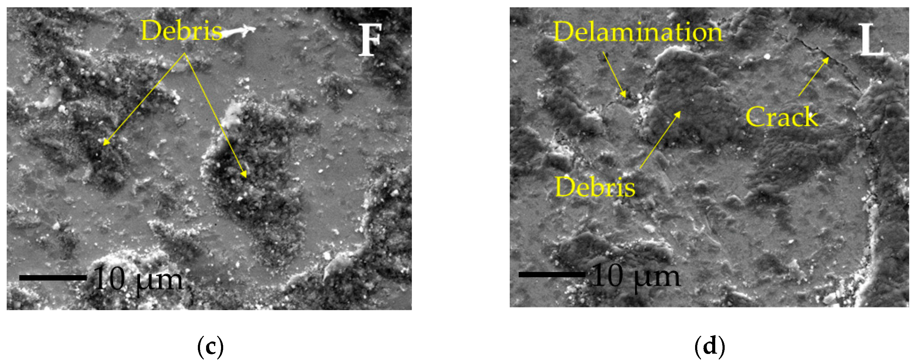 Coatings 15 00323 g006b Coatings 15 00323 g006b
