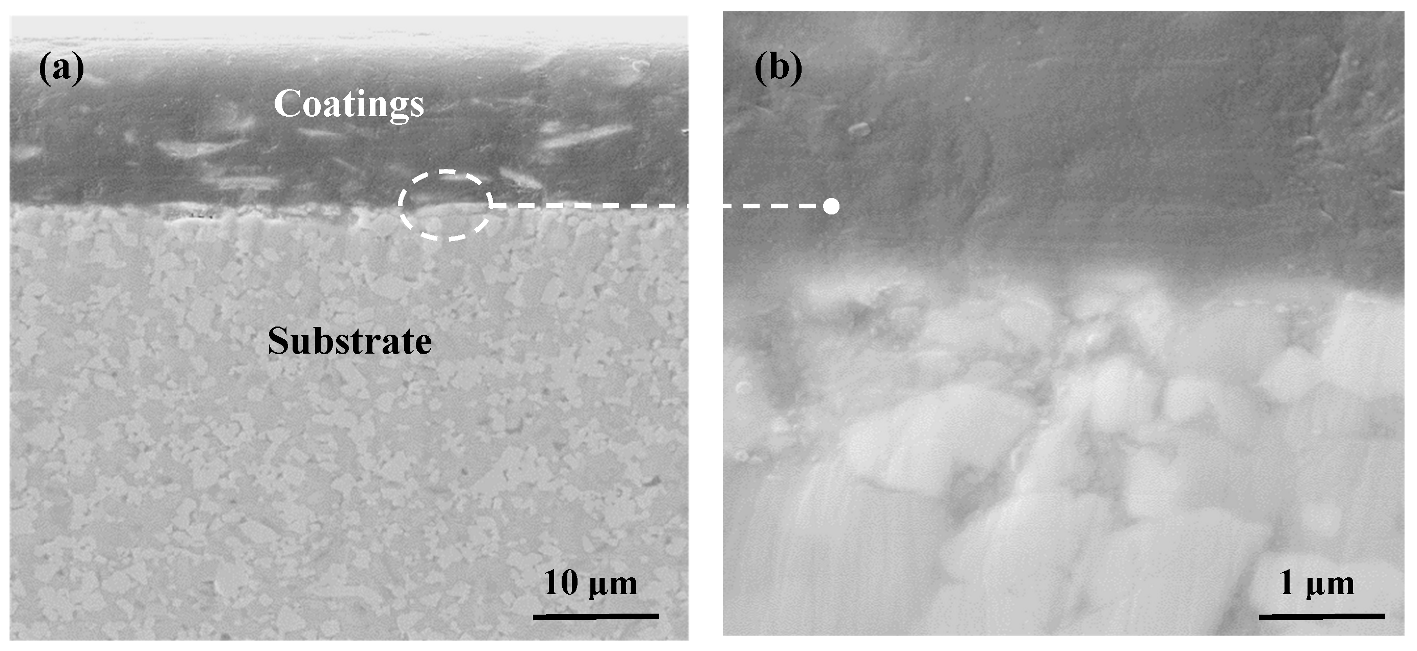 Coatings 15 00324 g002