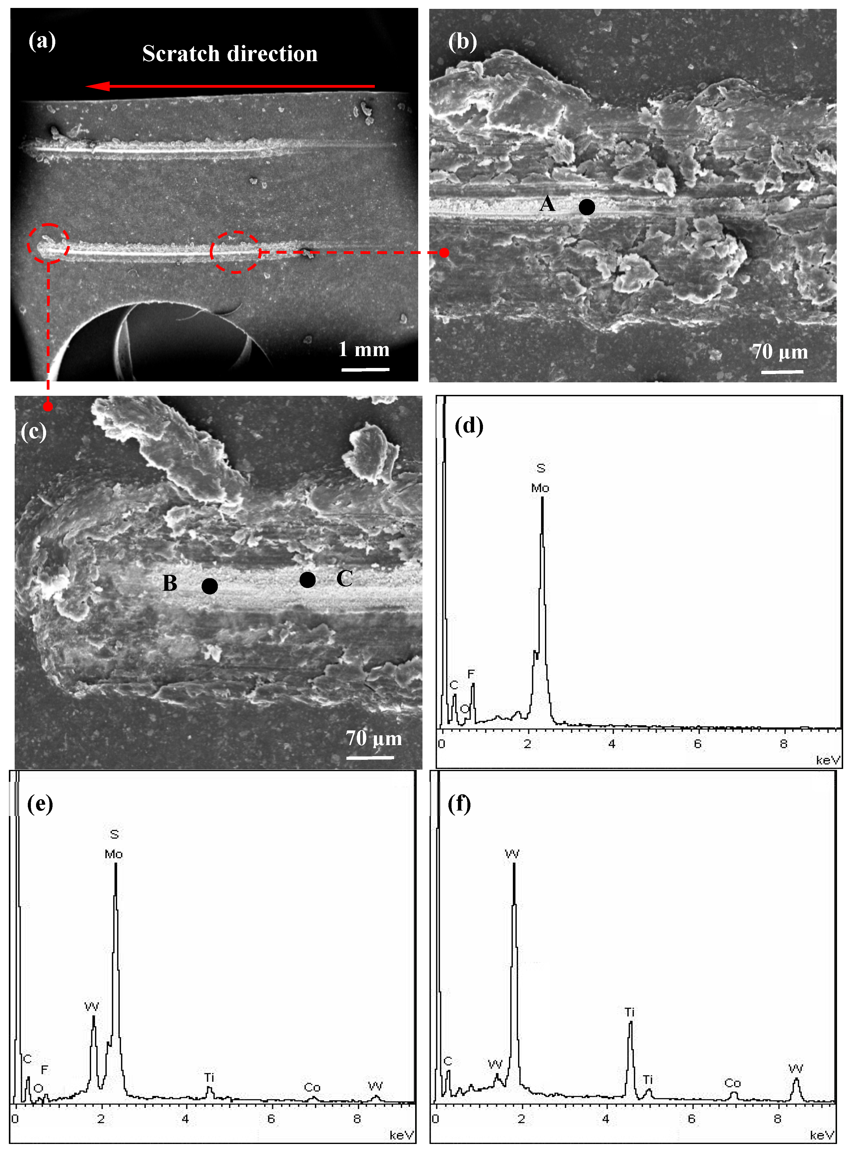 Coatings 15 00324 g005