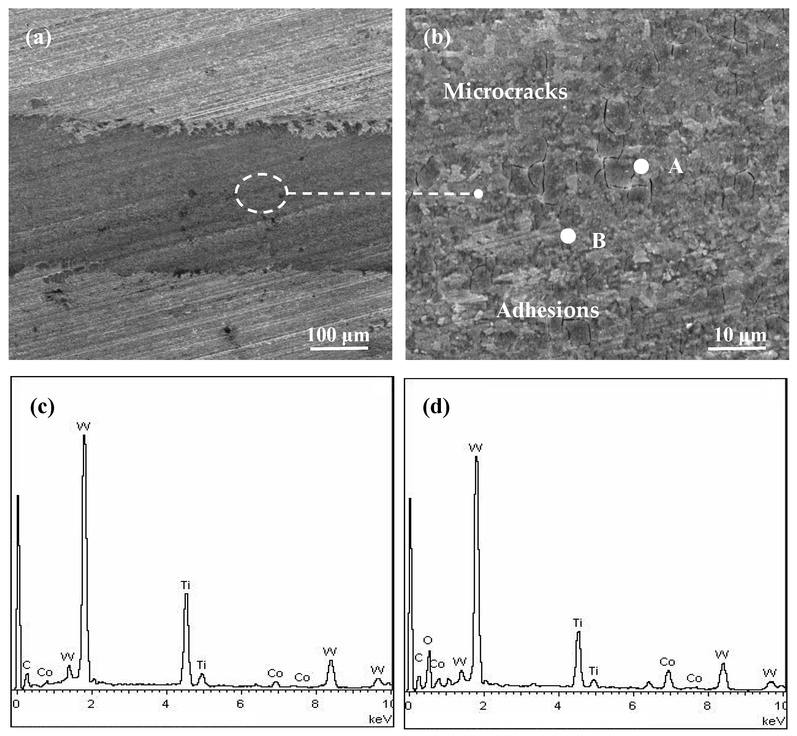 Coatings 15 00324 g008