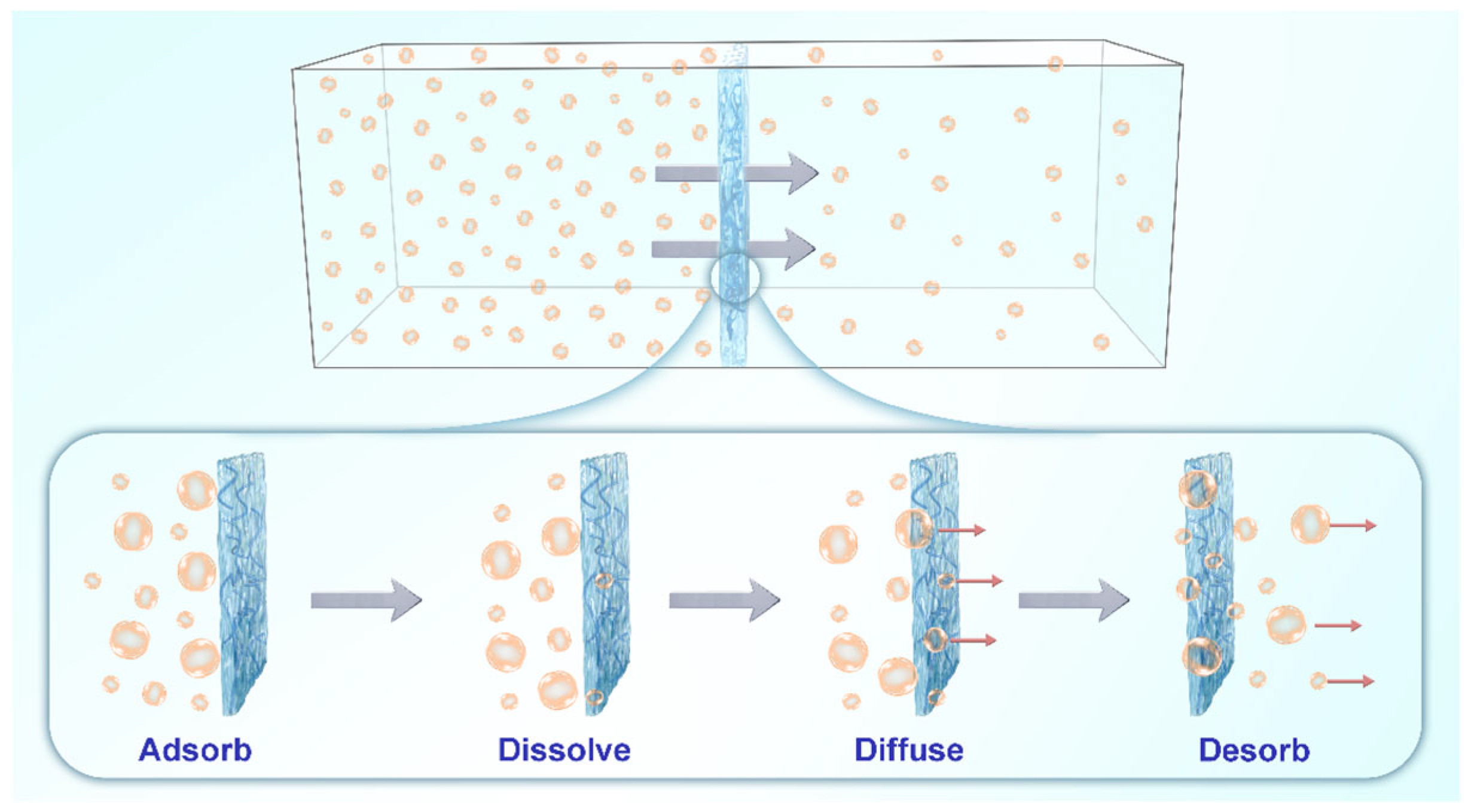 Coatings 15 00326 g002