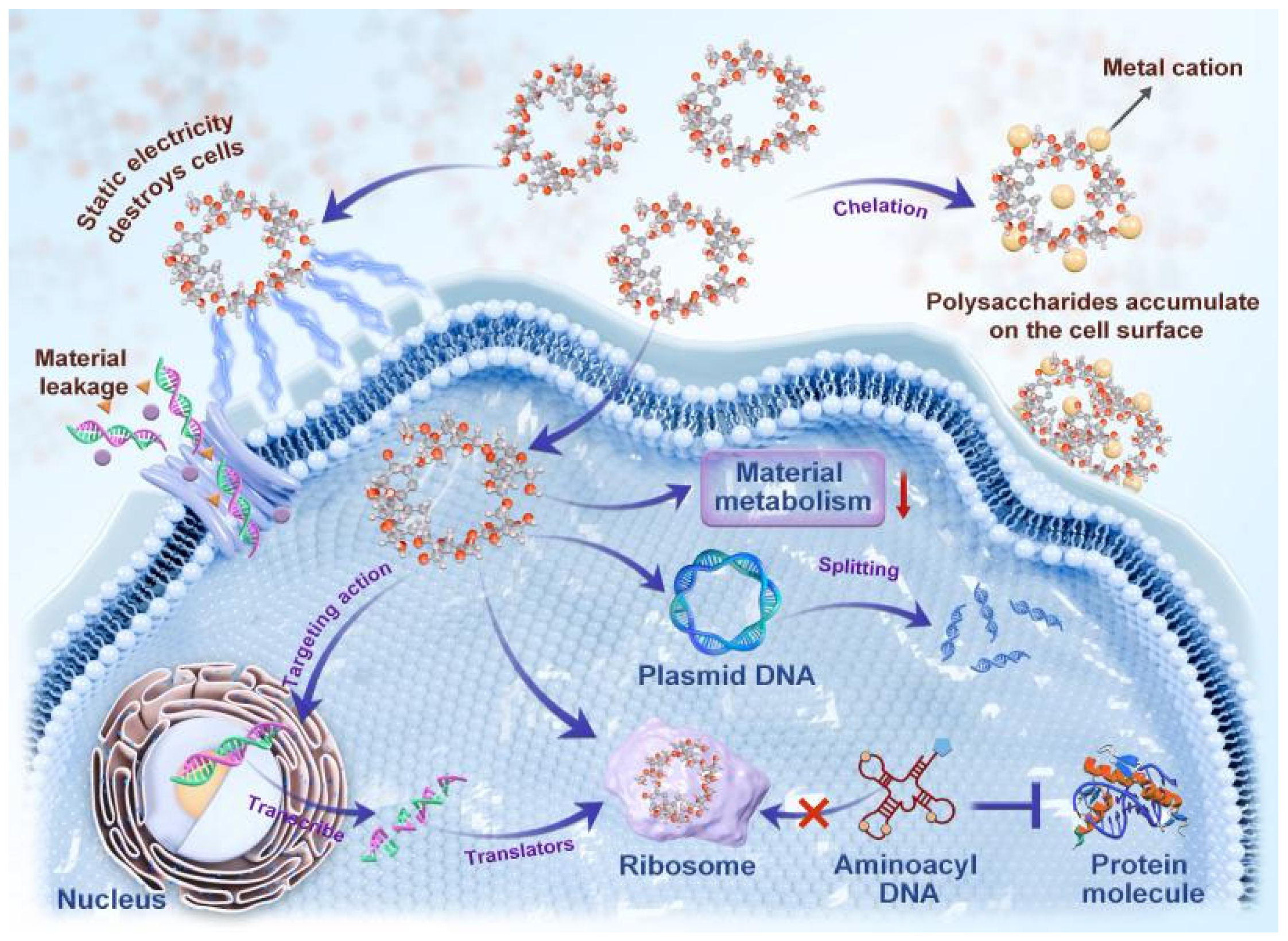 Coatings 15 00326 g004