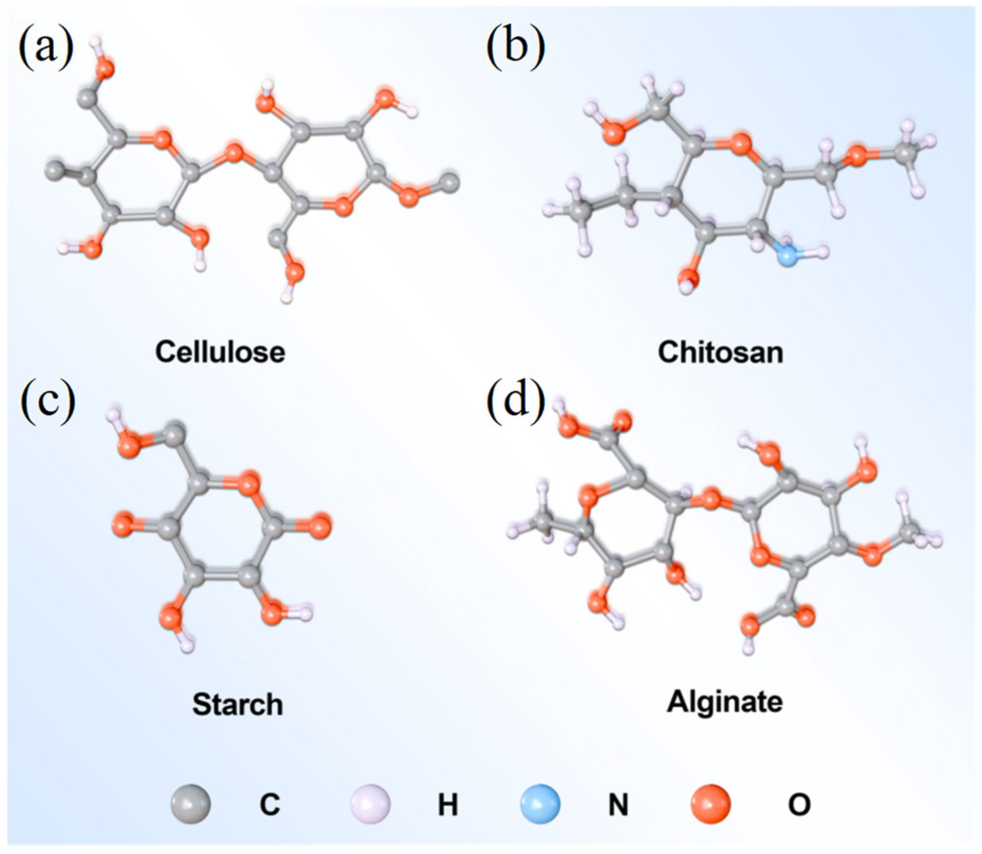 Coatings 15 00326 g006