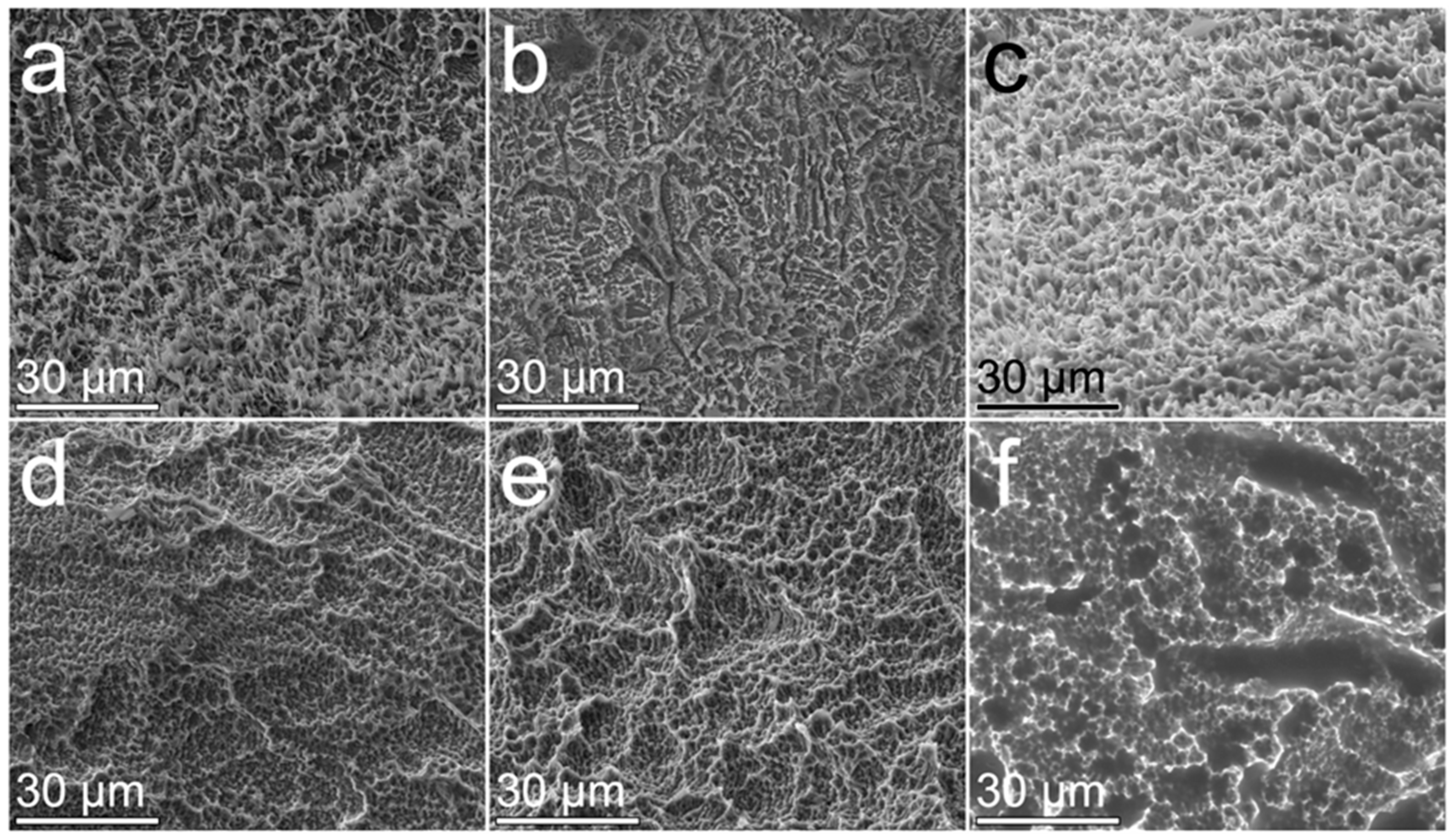 Coatings 15 00327 g005