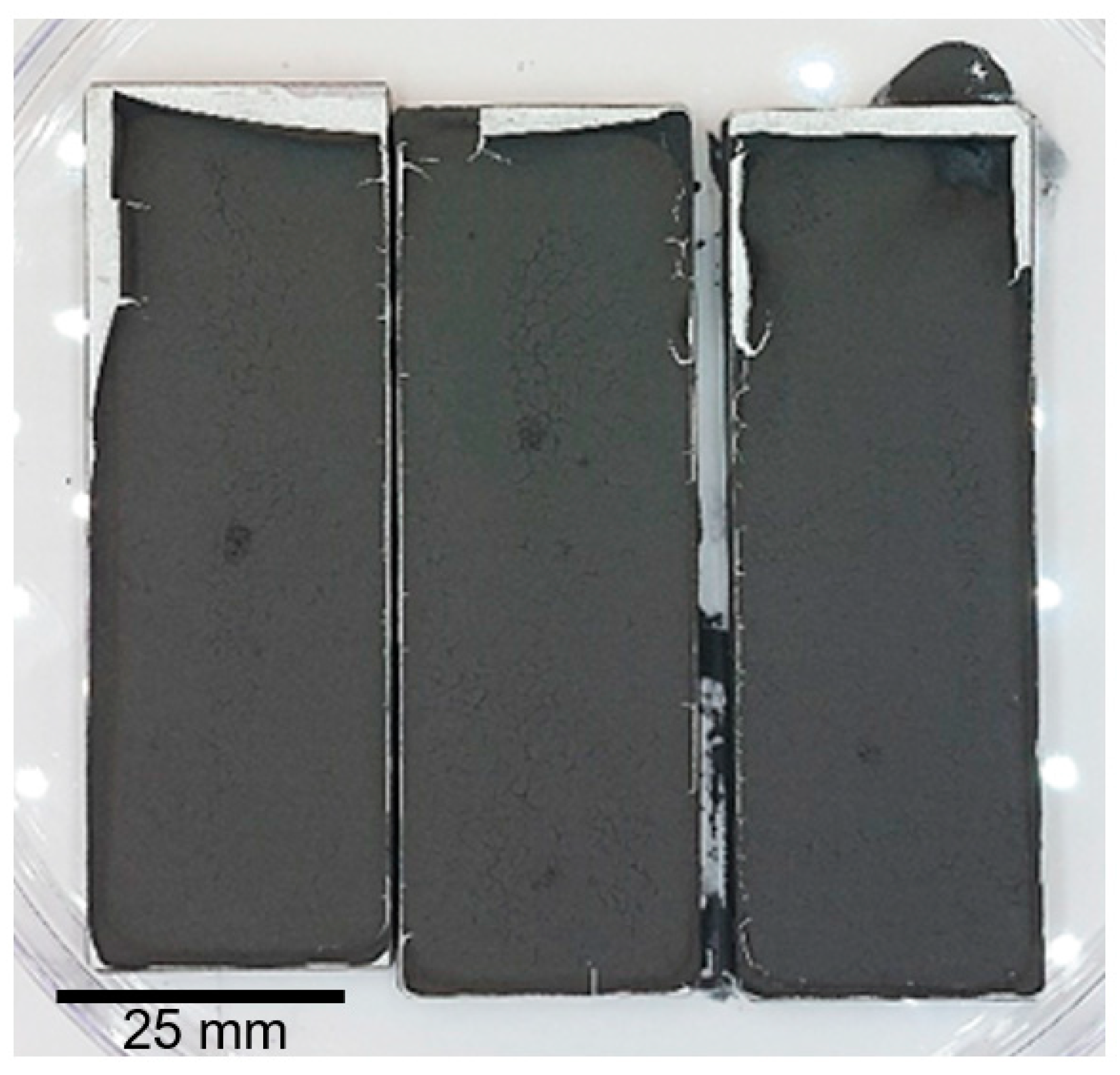 Coatings 15 00330 g001