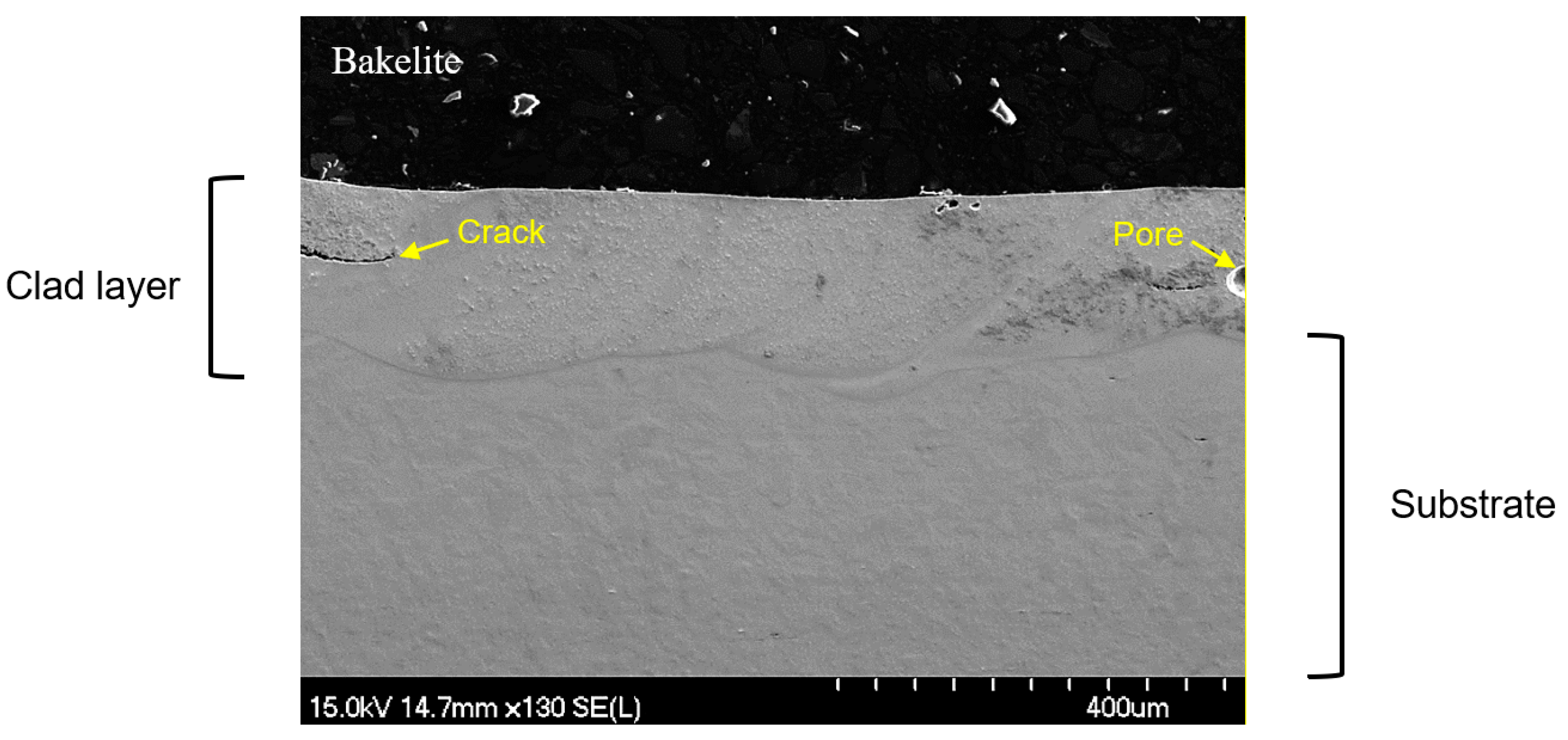 Coatings 15 00330 g005