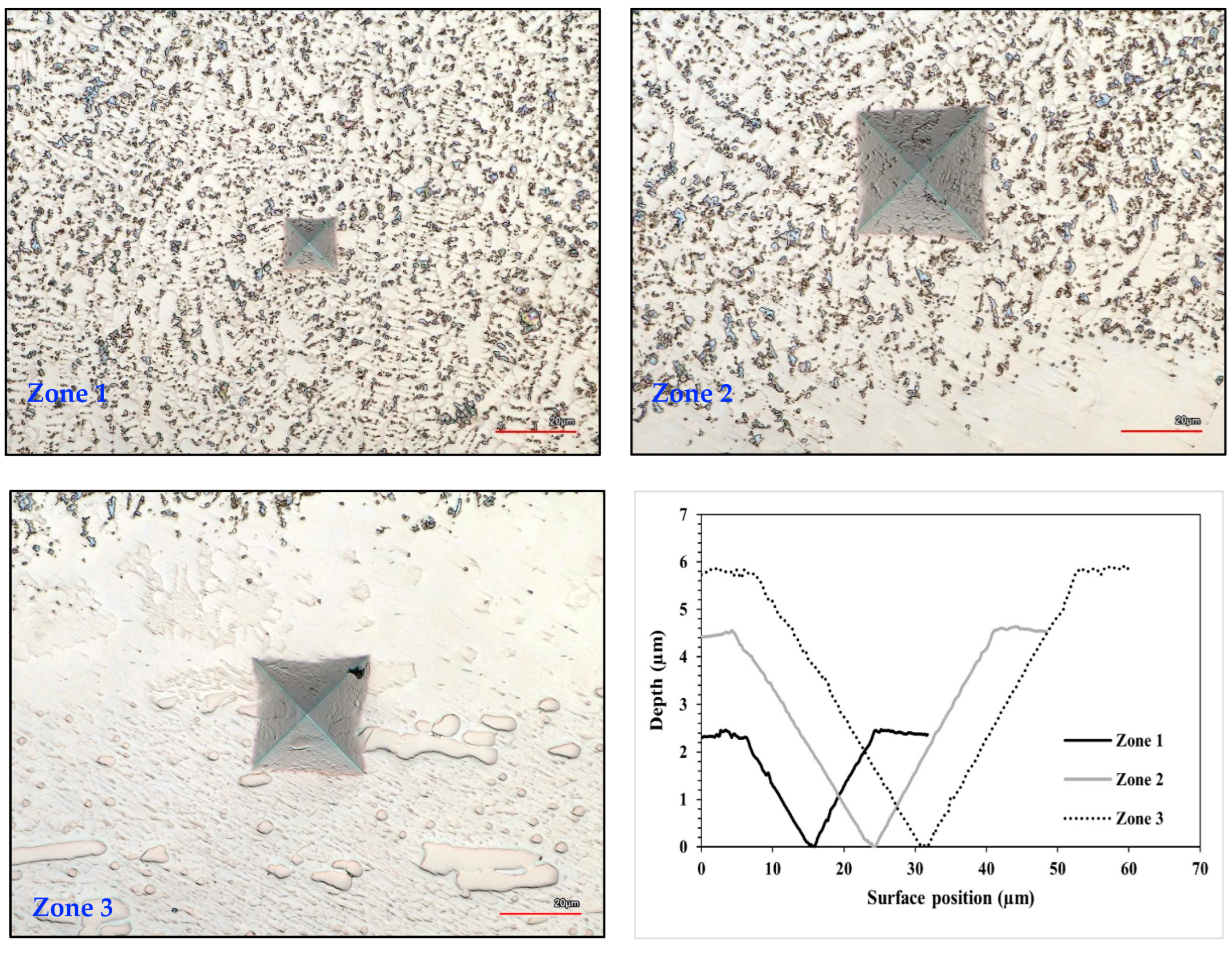 Coatings 15 00330 g012