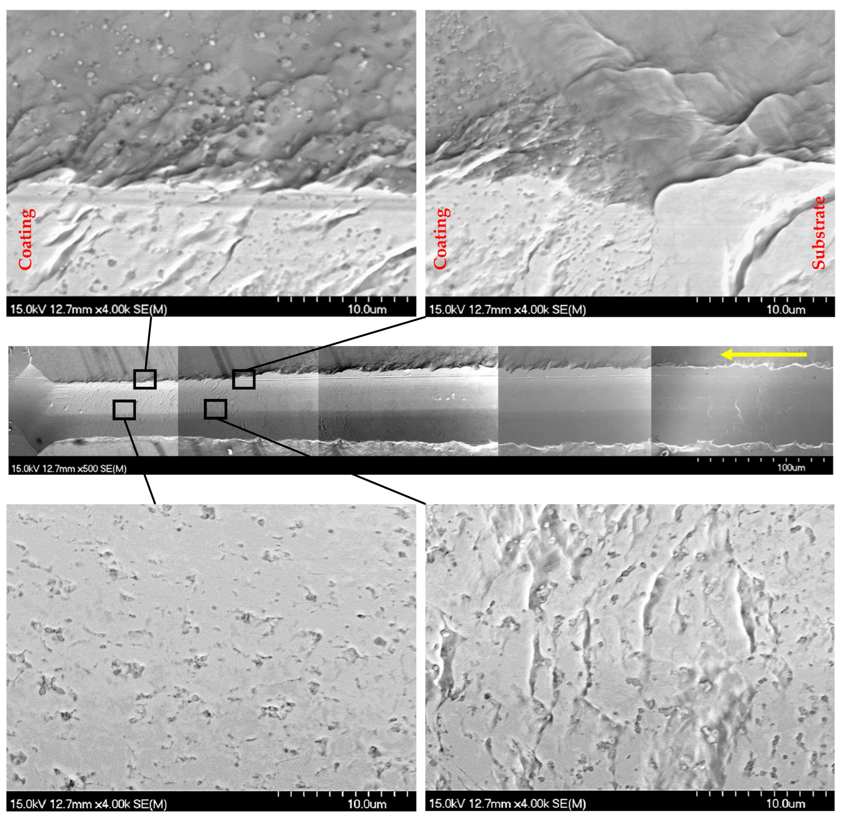 Coatings 15 00330 g021