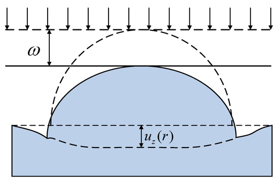 Cross-Scale Mechanical Contact Analysis from Asperities to