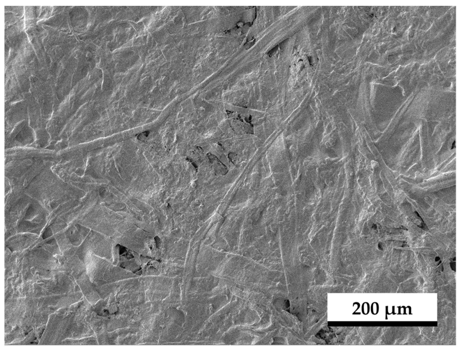 Coatings 15 00335 g011