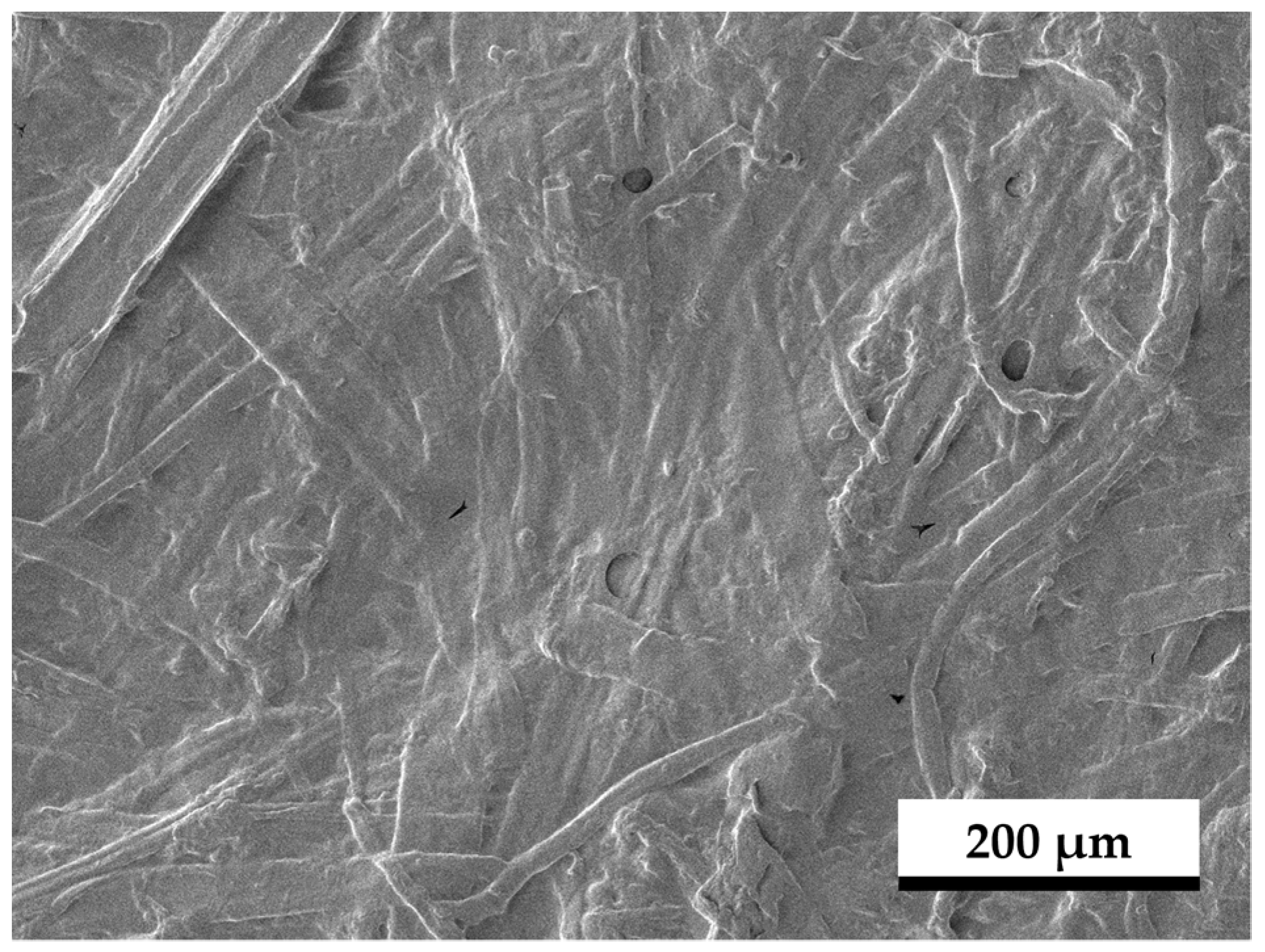 Coatings 15 00335 g012