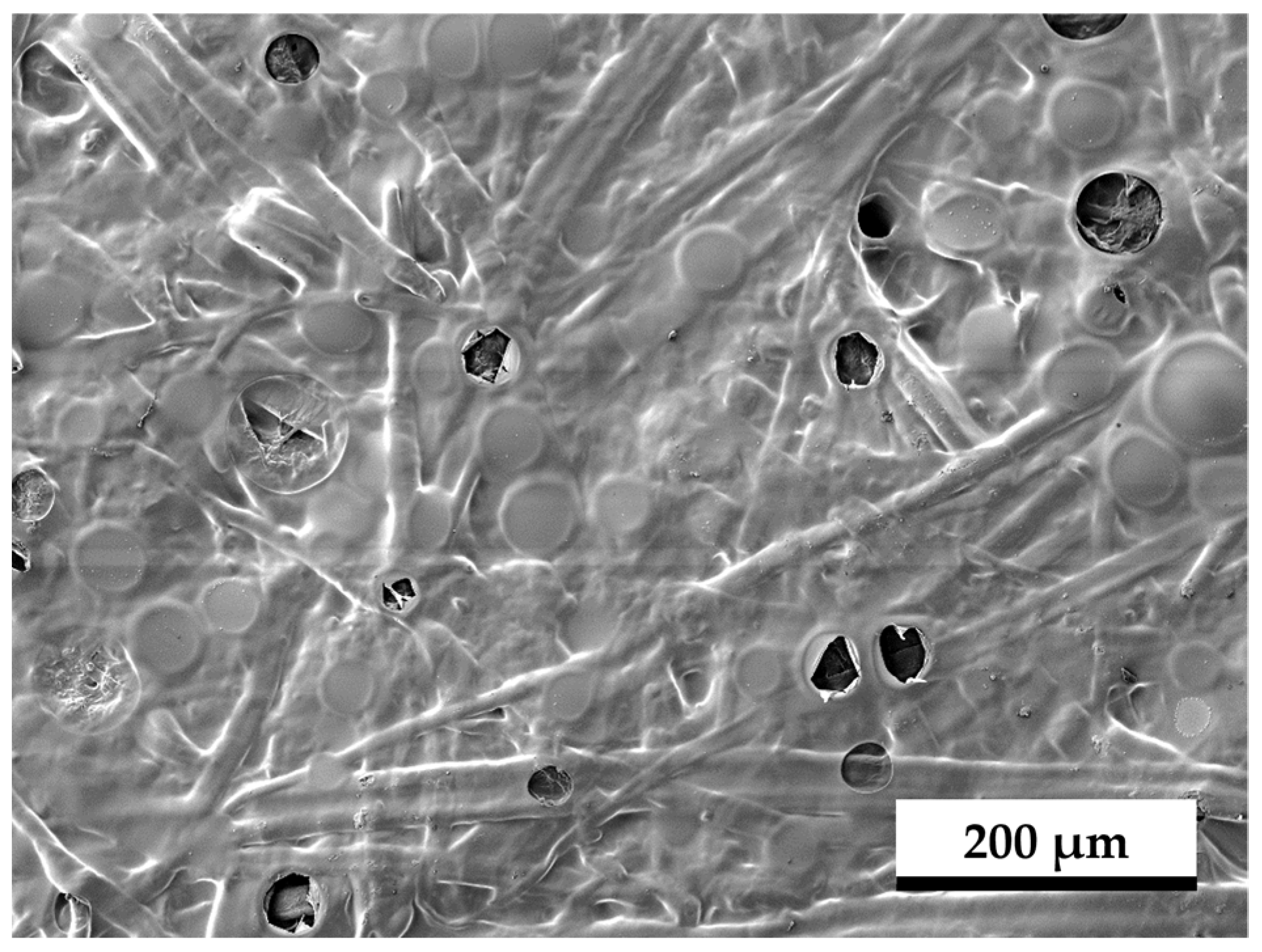 Coatings 15 00335 g015