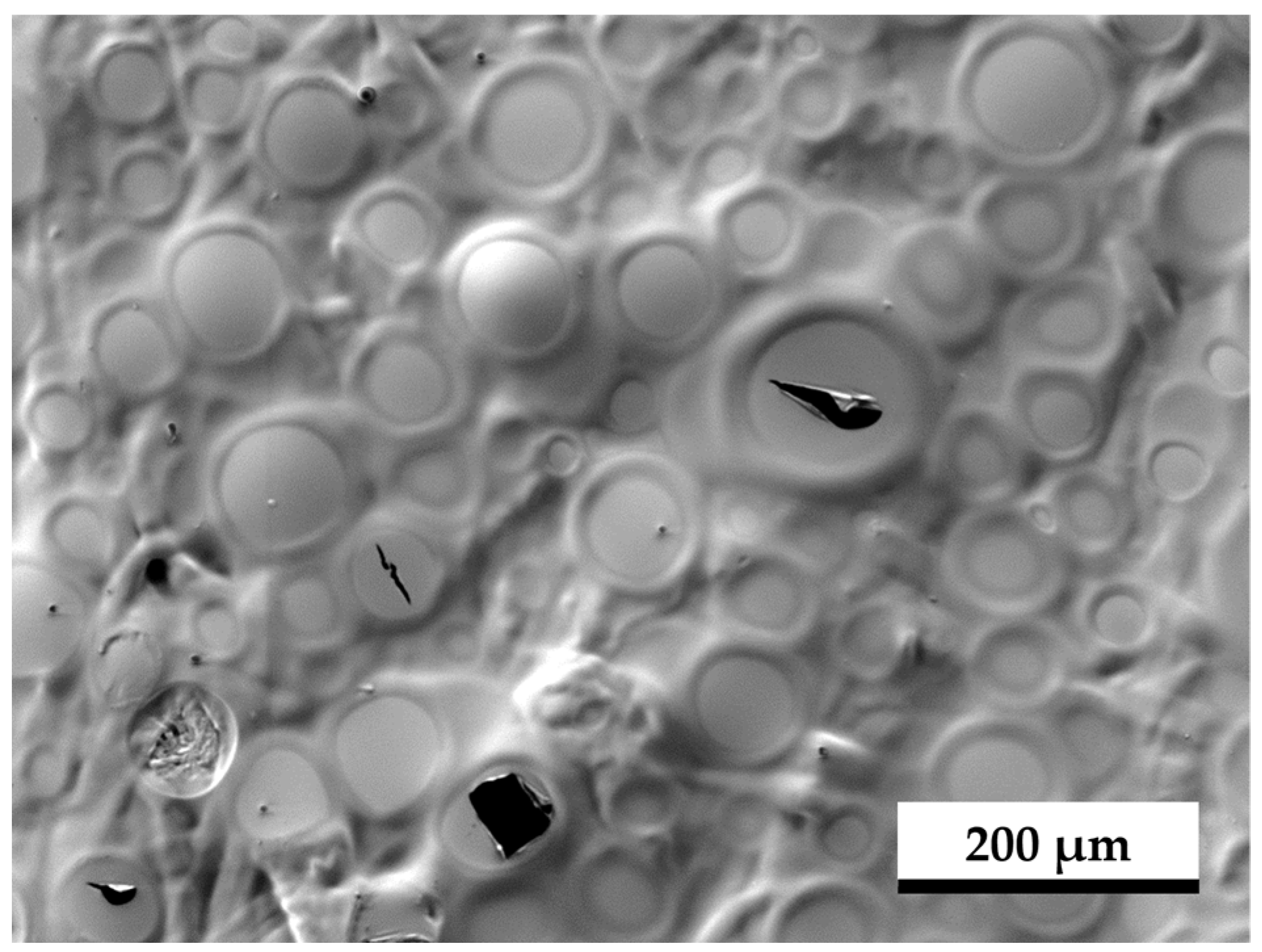 Coatings 15 00335 g016