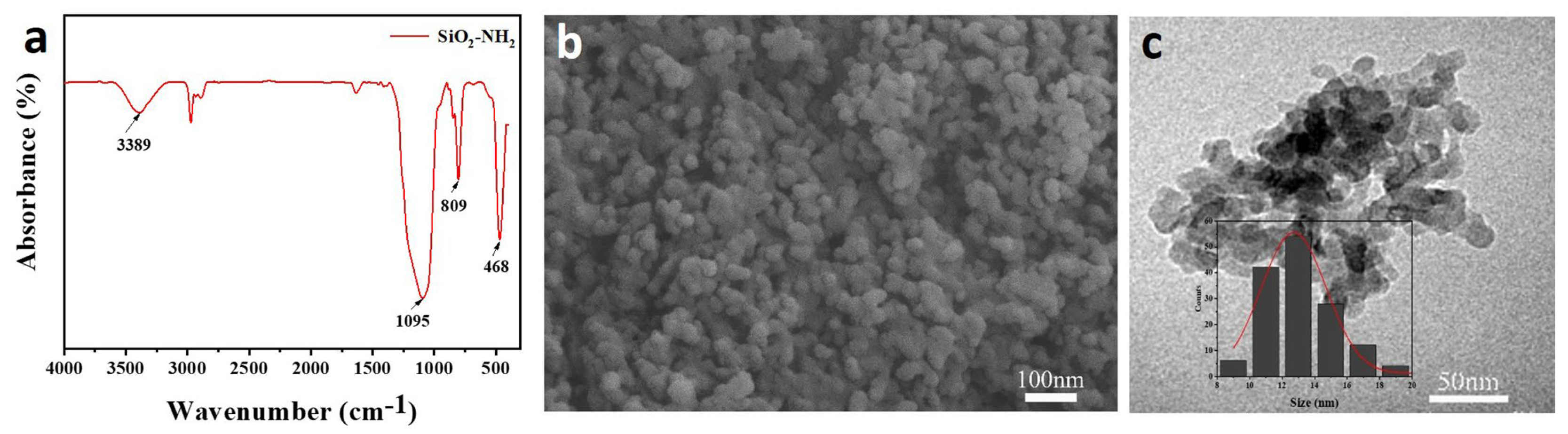 Coatings 15 00338 g001