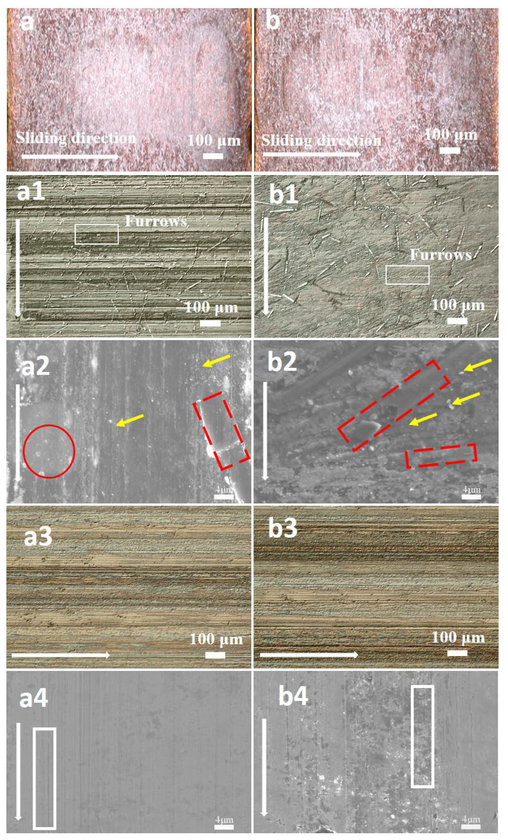 Coatings 15 00338 g007