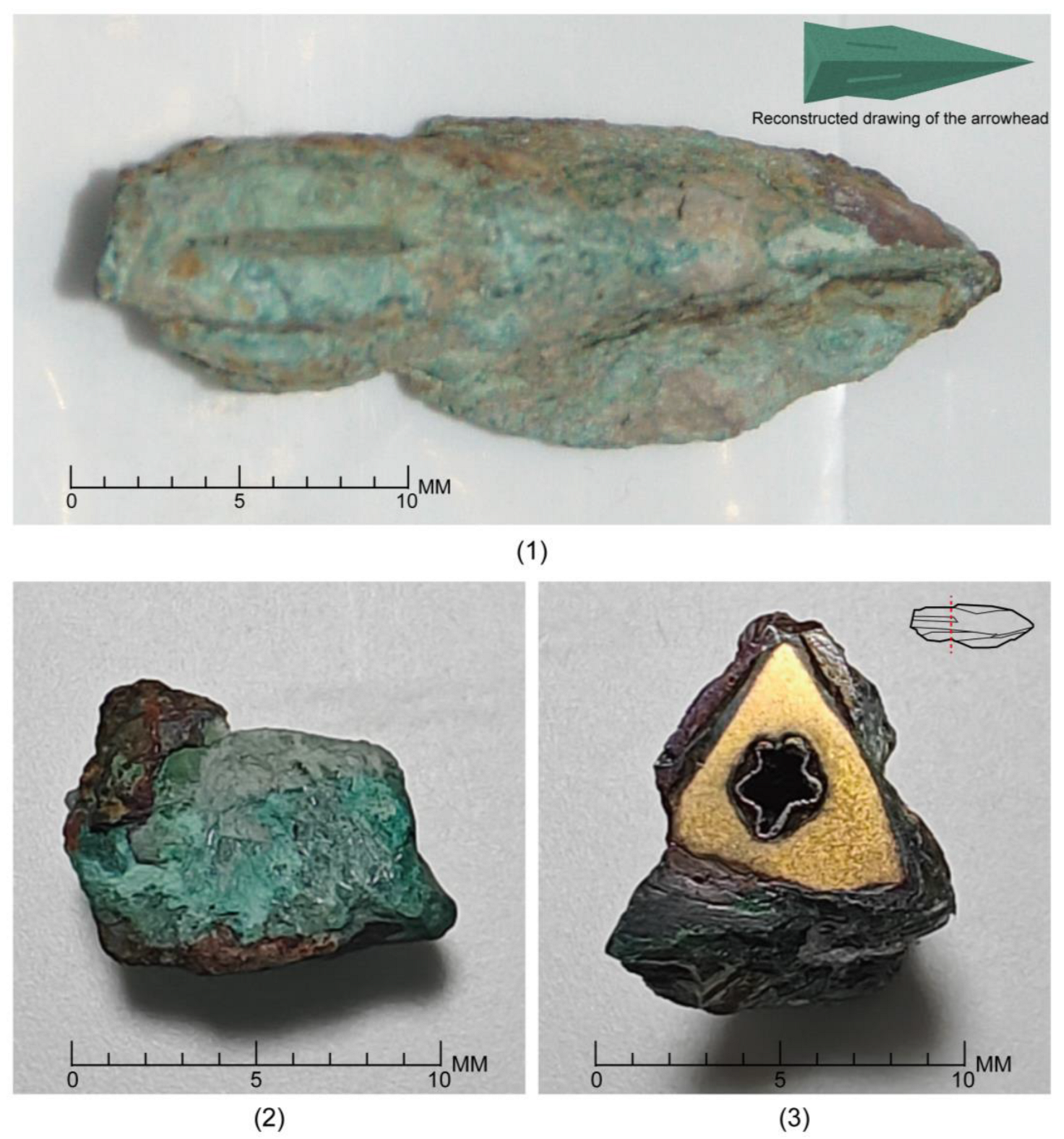 Coatings 15 00339 g004