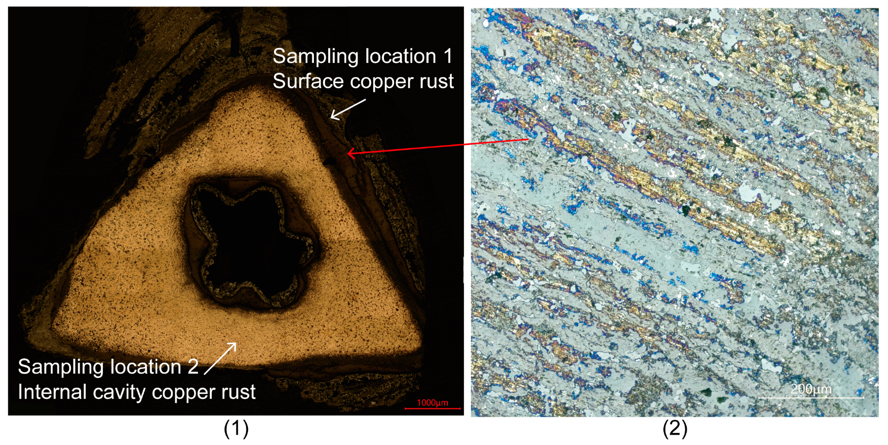Coatings 15 00339 g005
