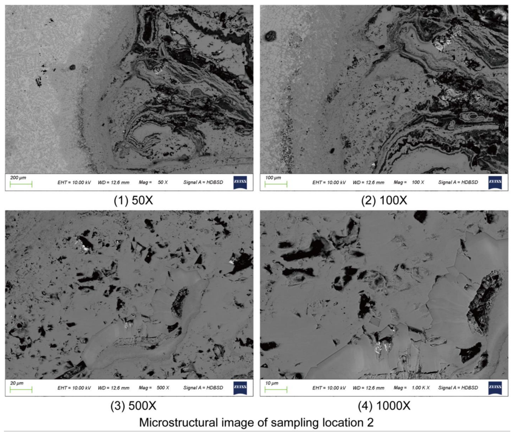 Coatings 15 00339 g007