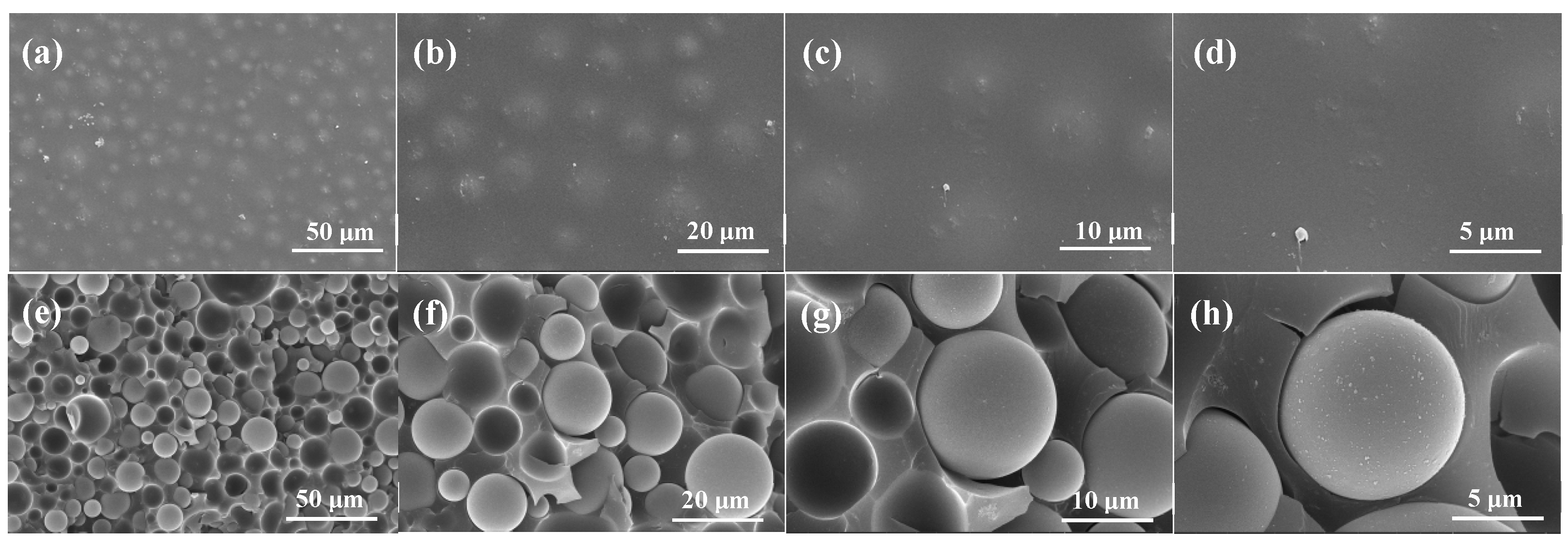 Coatings 15 00340 g003