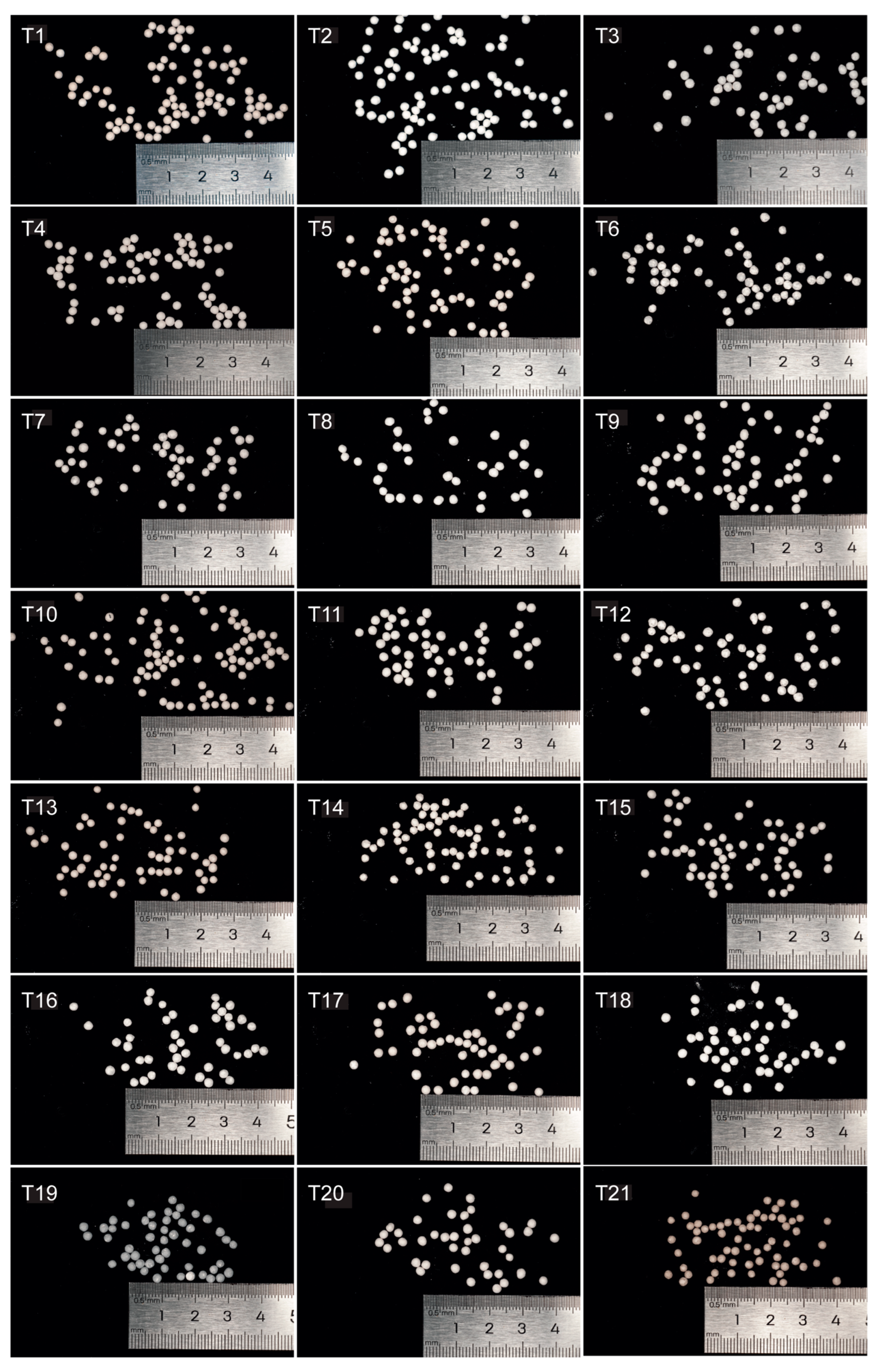 Coatings 15 00341 g001