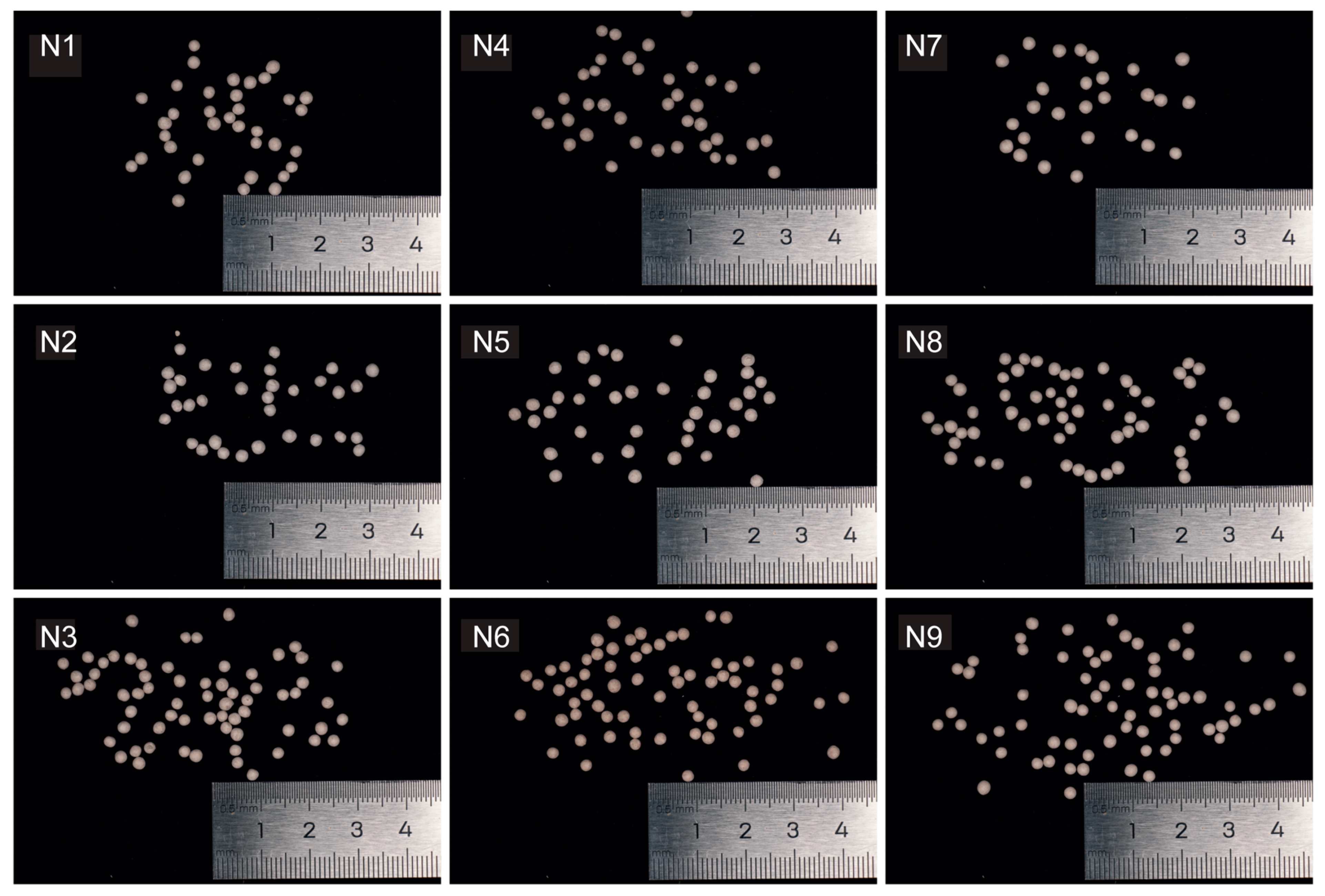 Coatings 15 00341 g005