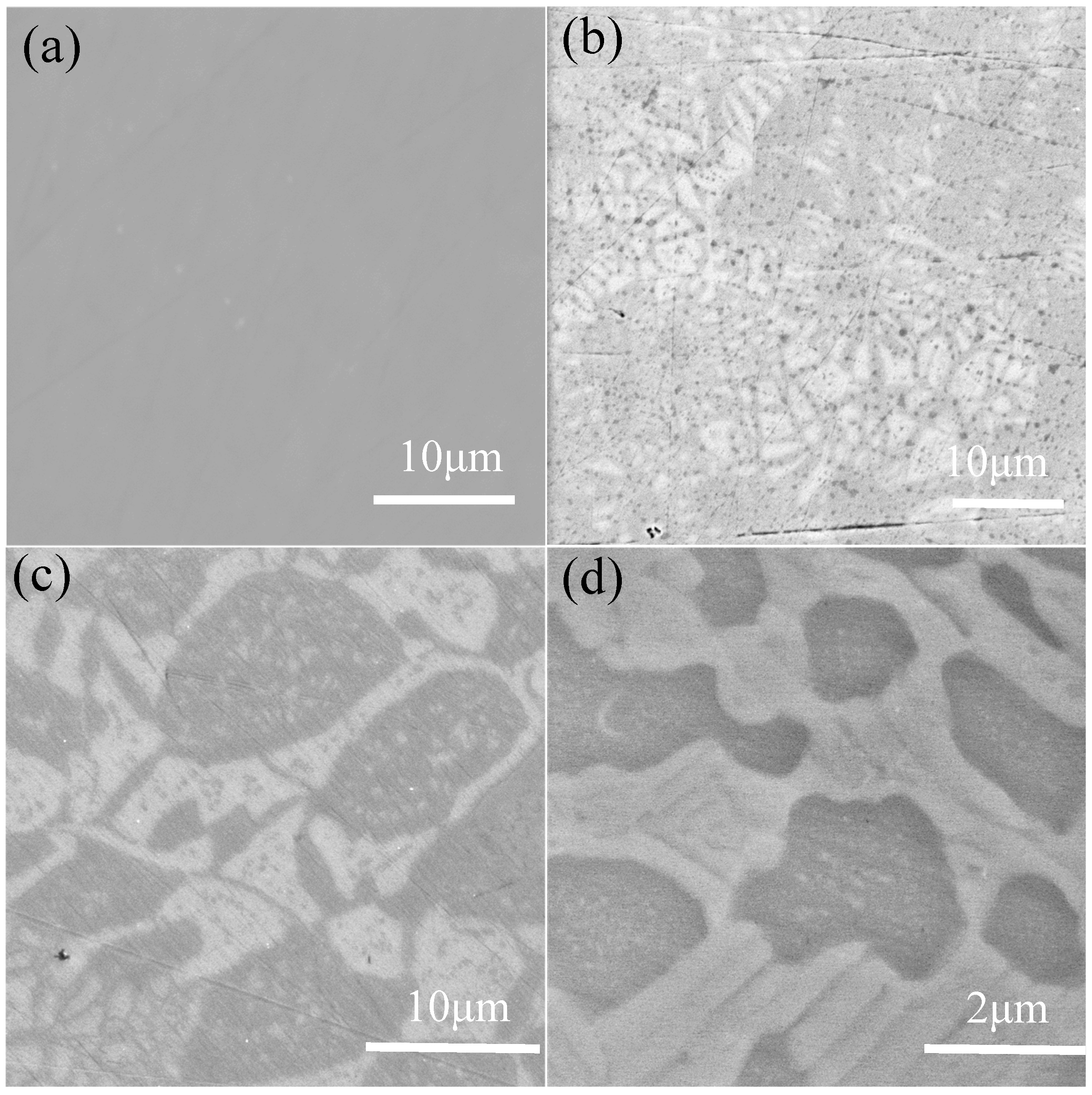 Coatings 15 00342 g002