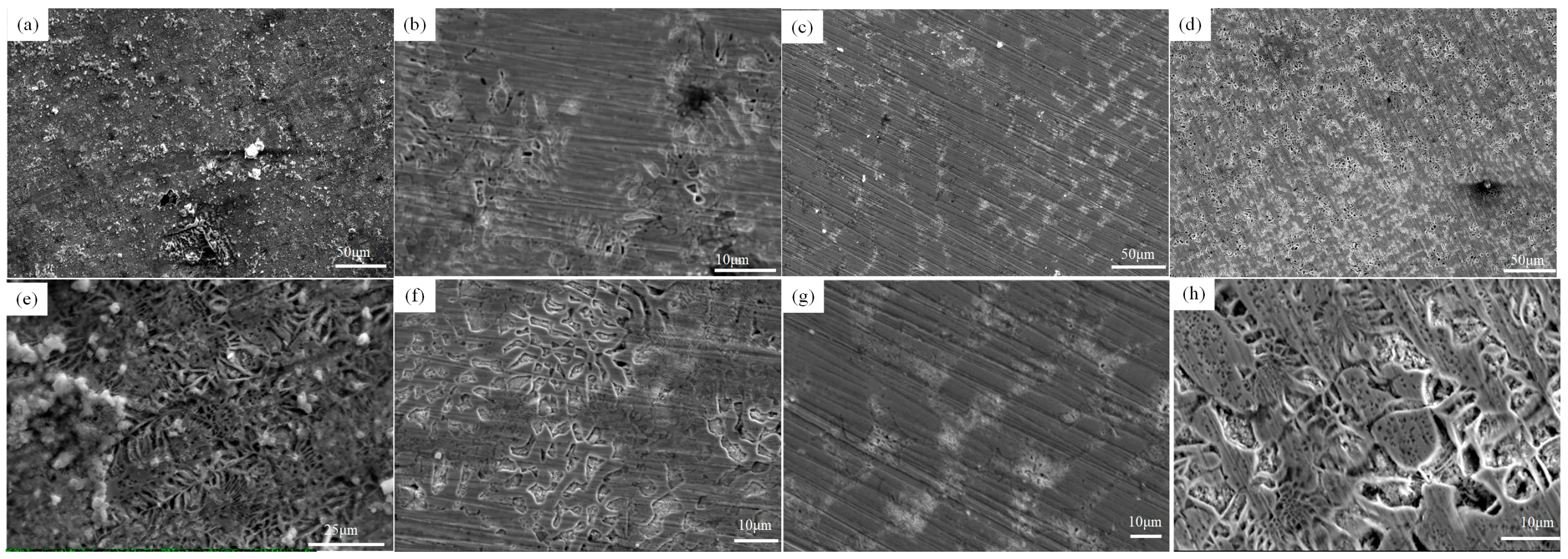Coatings 15 00342 g007