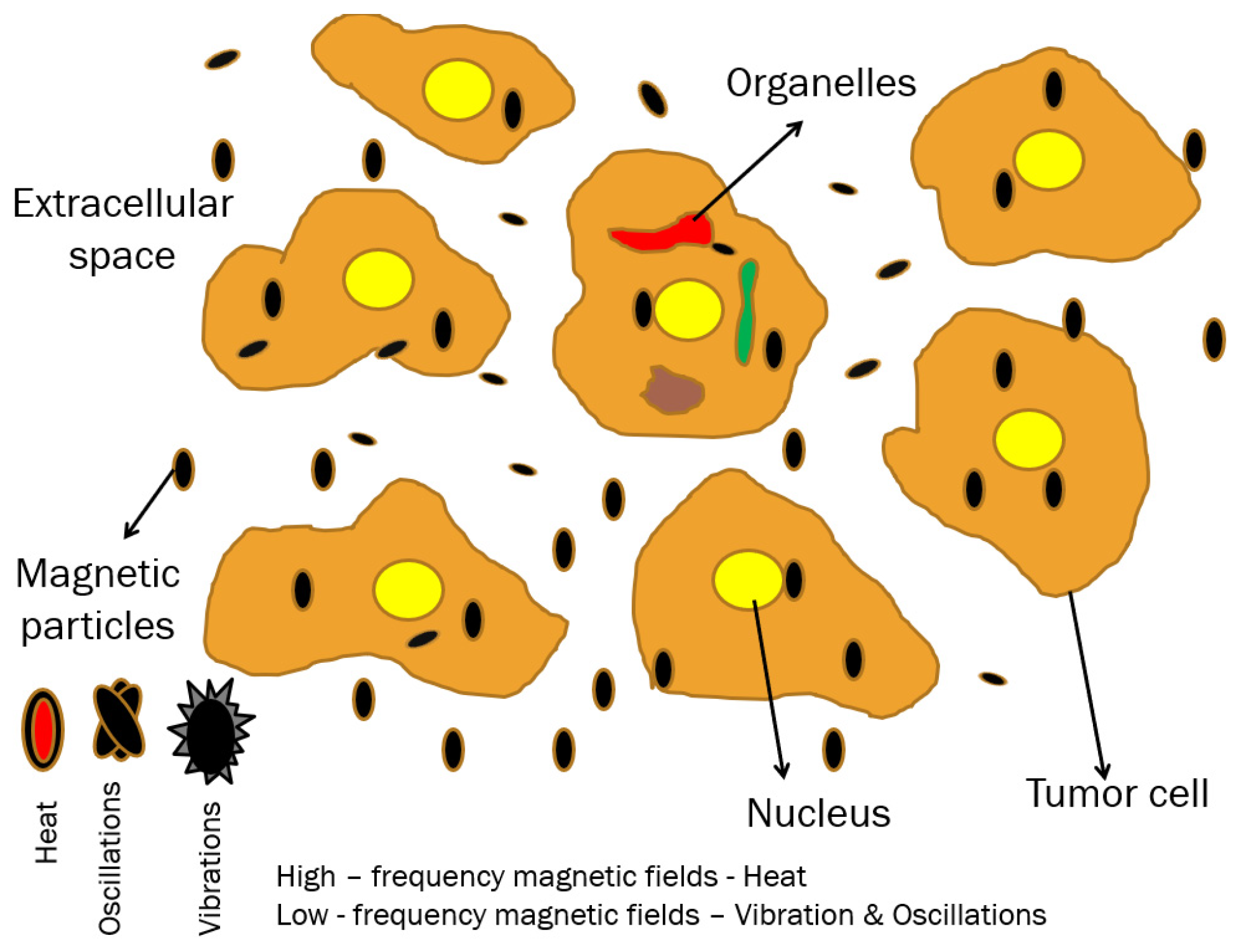 Coatings 15 00345 g001