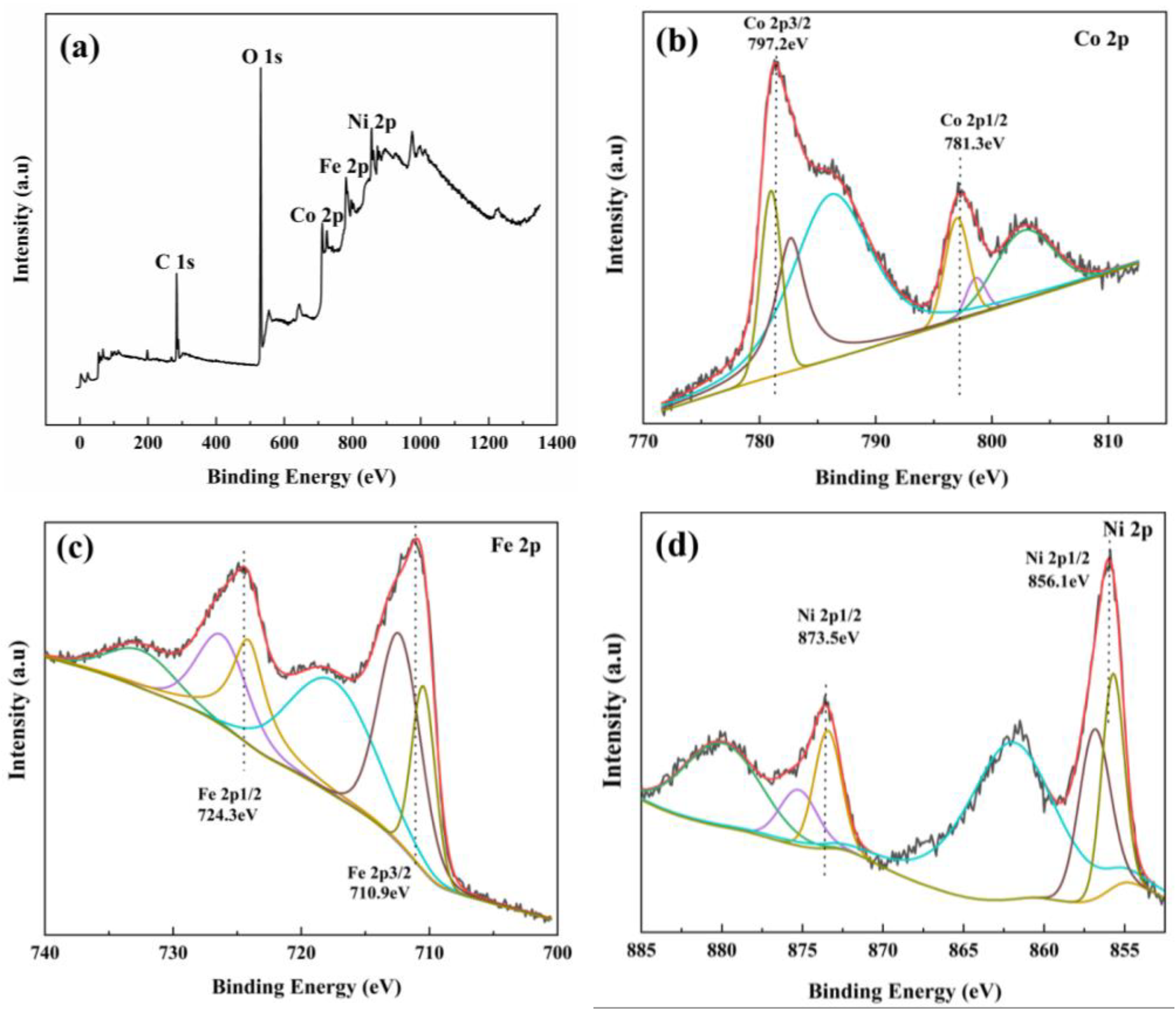Coatings 15 00346 g004