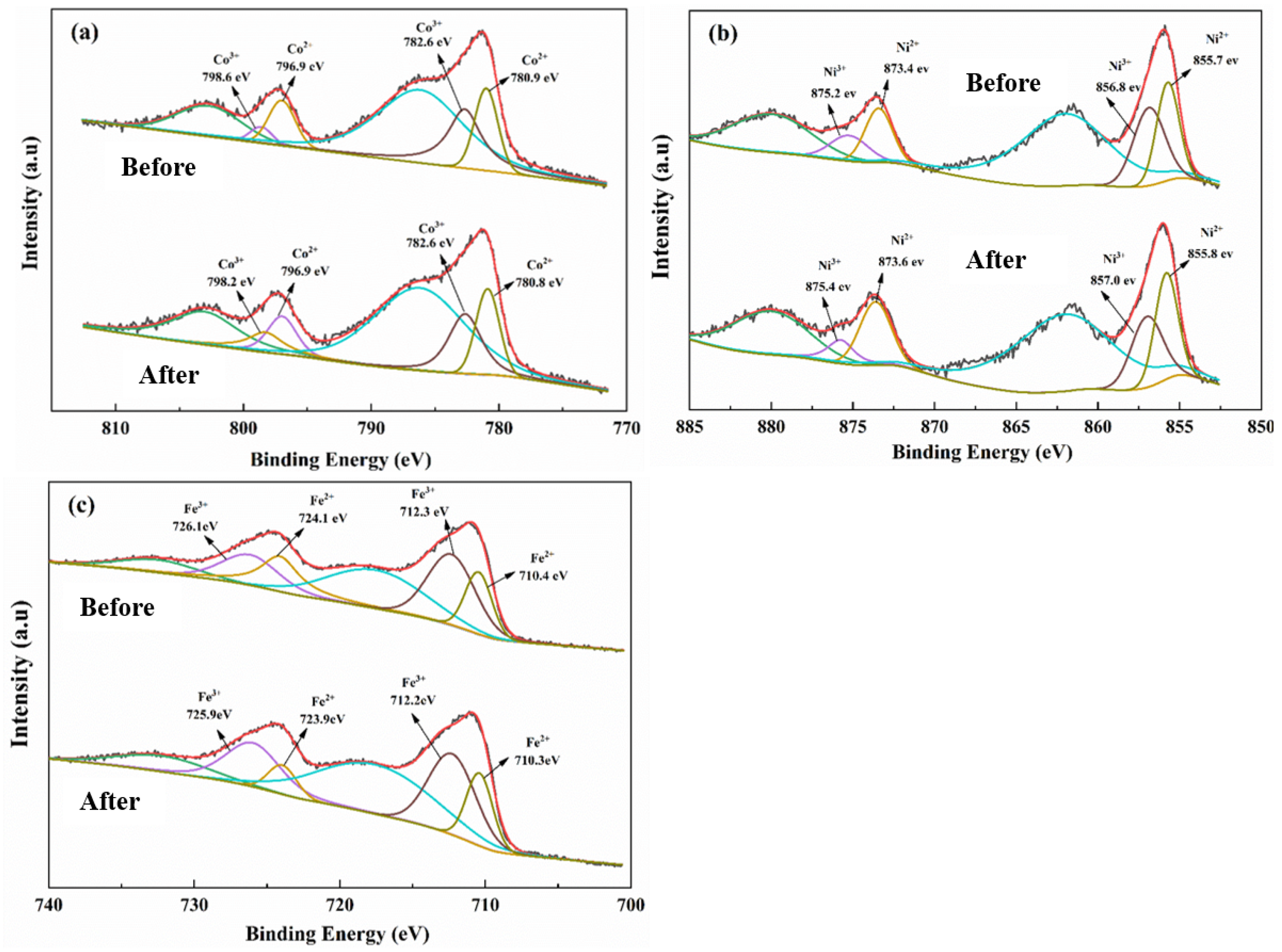 Coatings 15 00346 g013