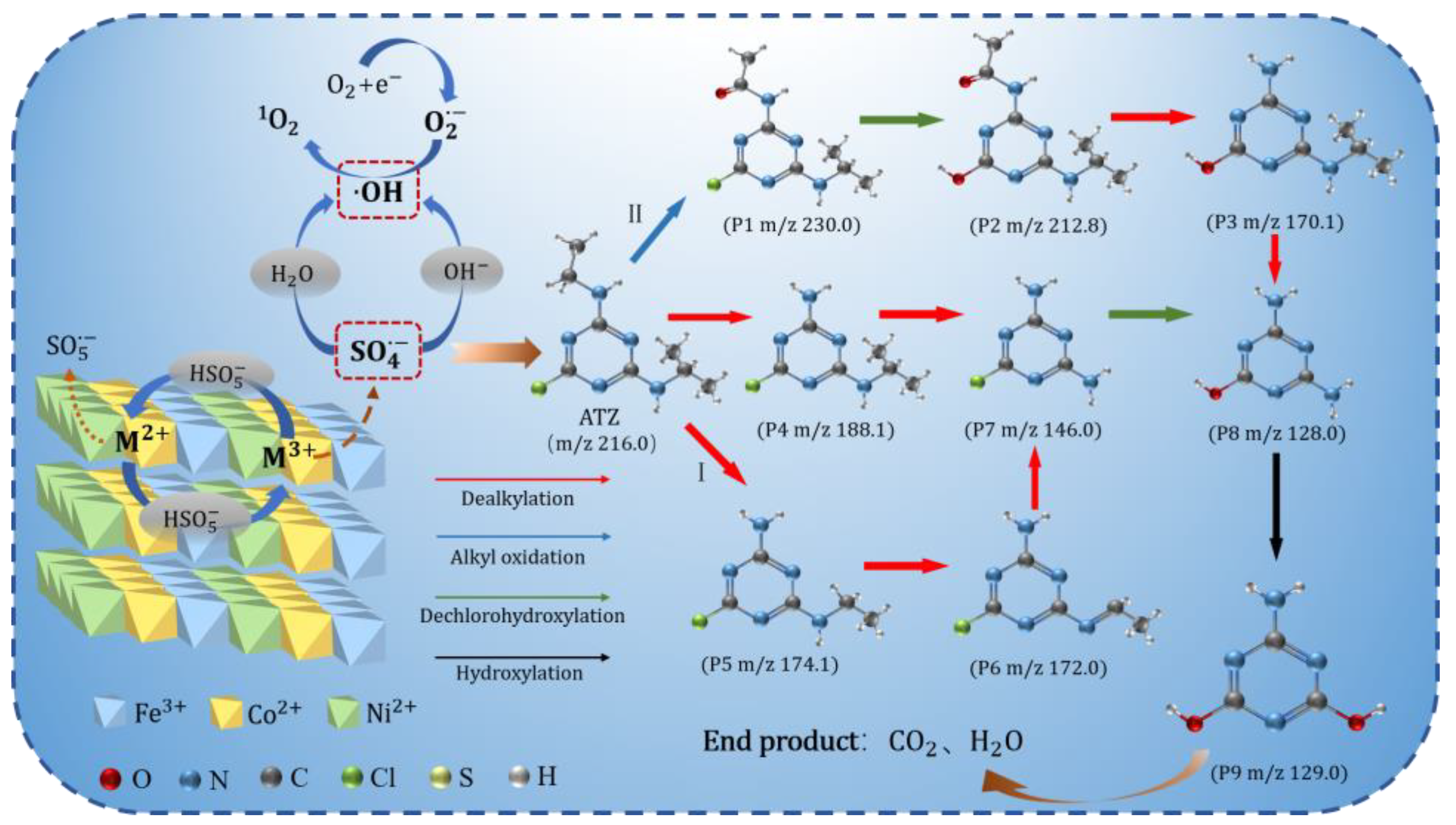 Coatings 15 00346 g015