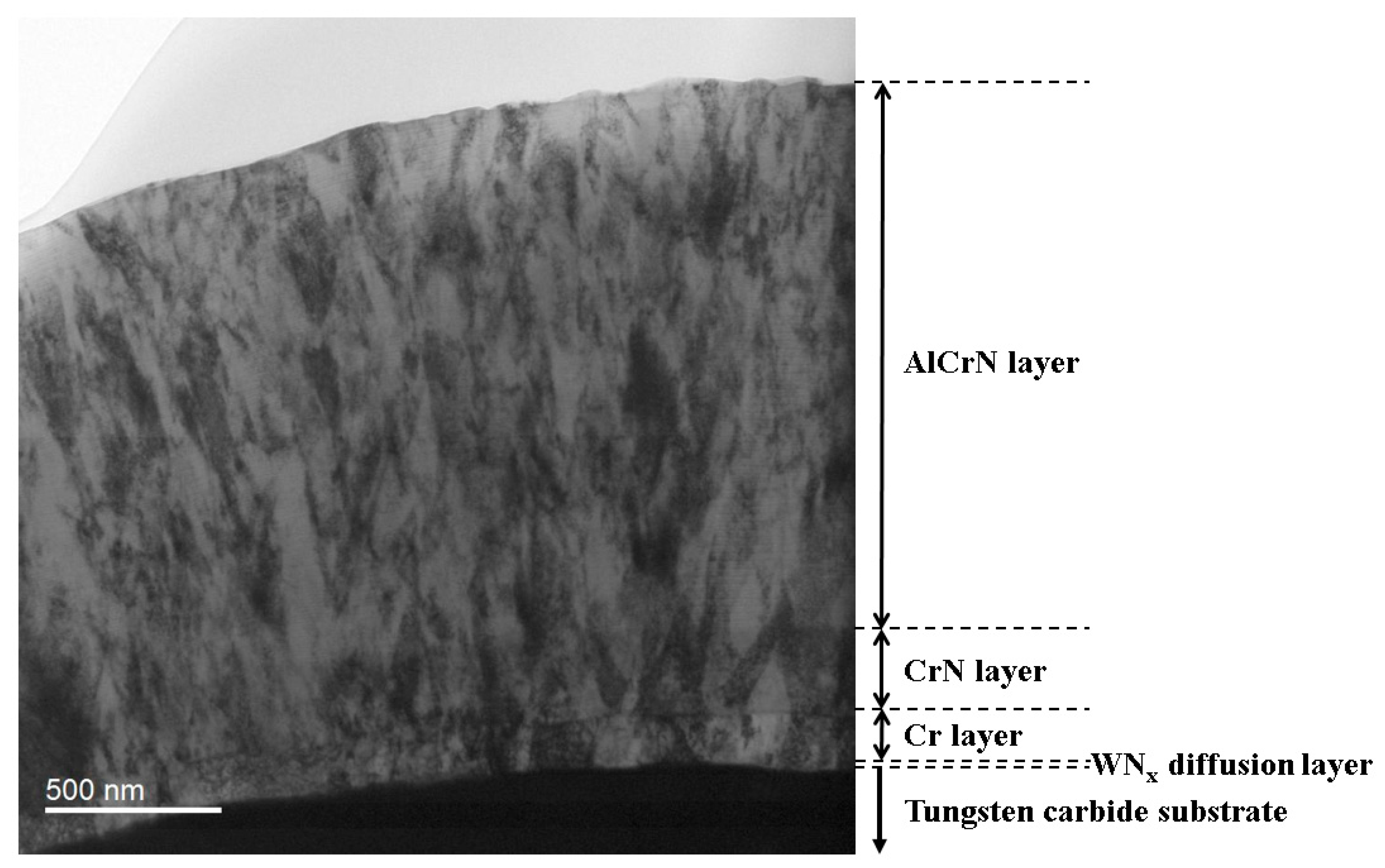 Coatings 15 00353 g005