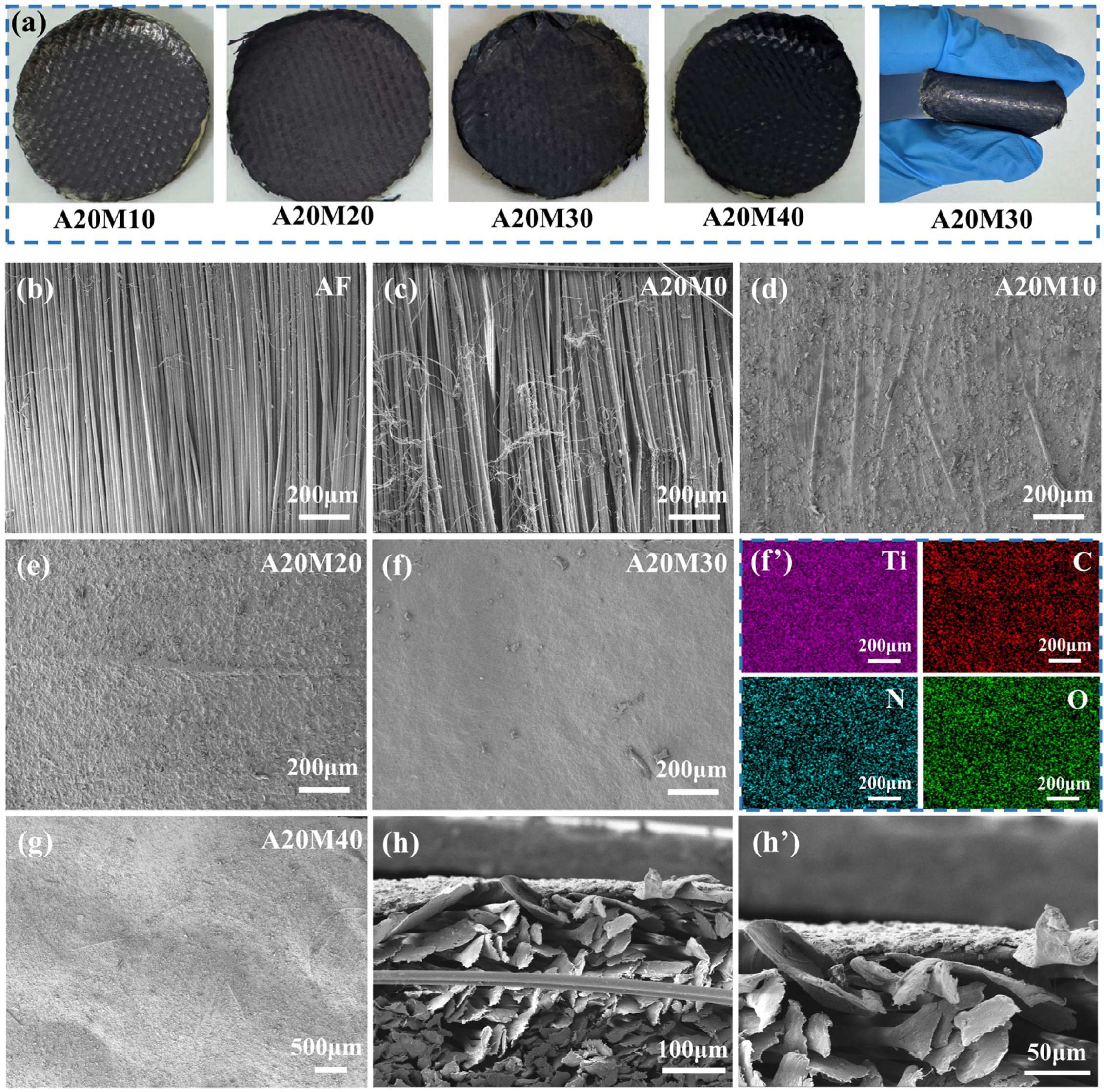 Coatings 15 00354 g002