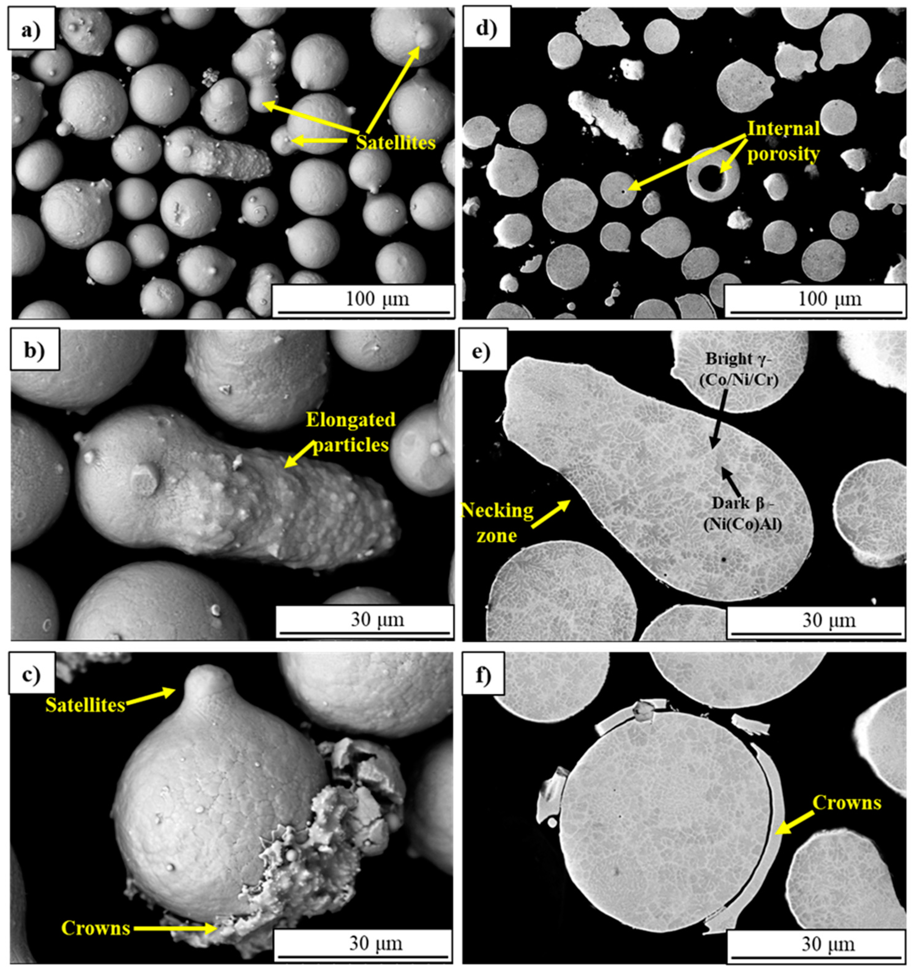 Coatings 15 00355 g002