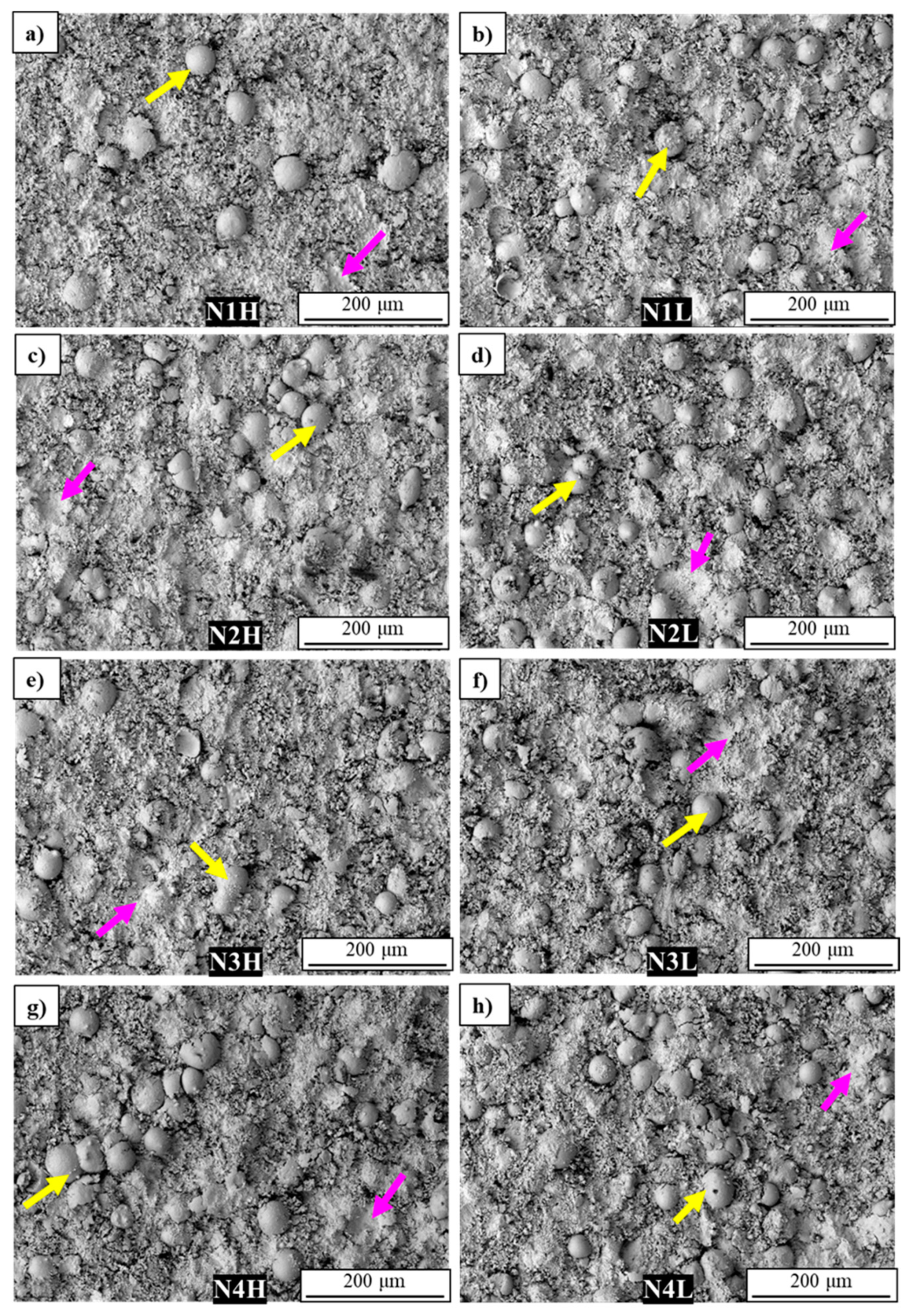 Coatings 15 00355 g004