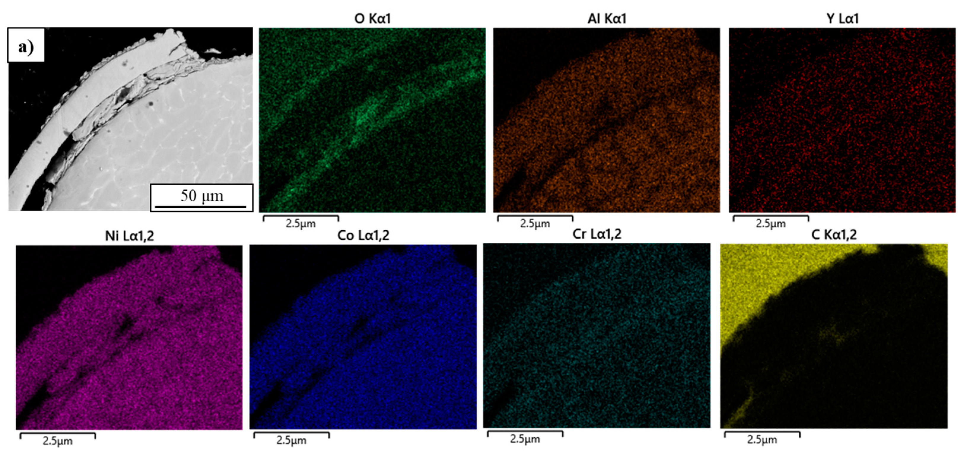 Coatings 15 00355 g010