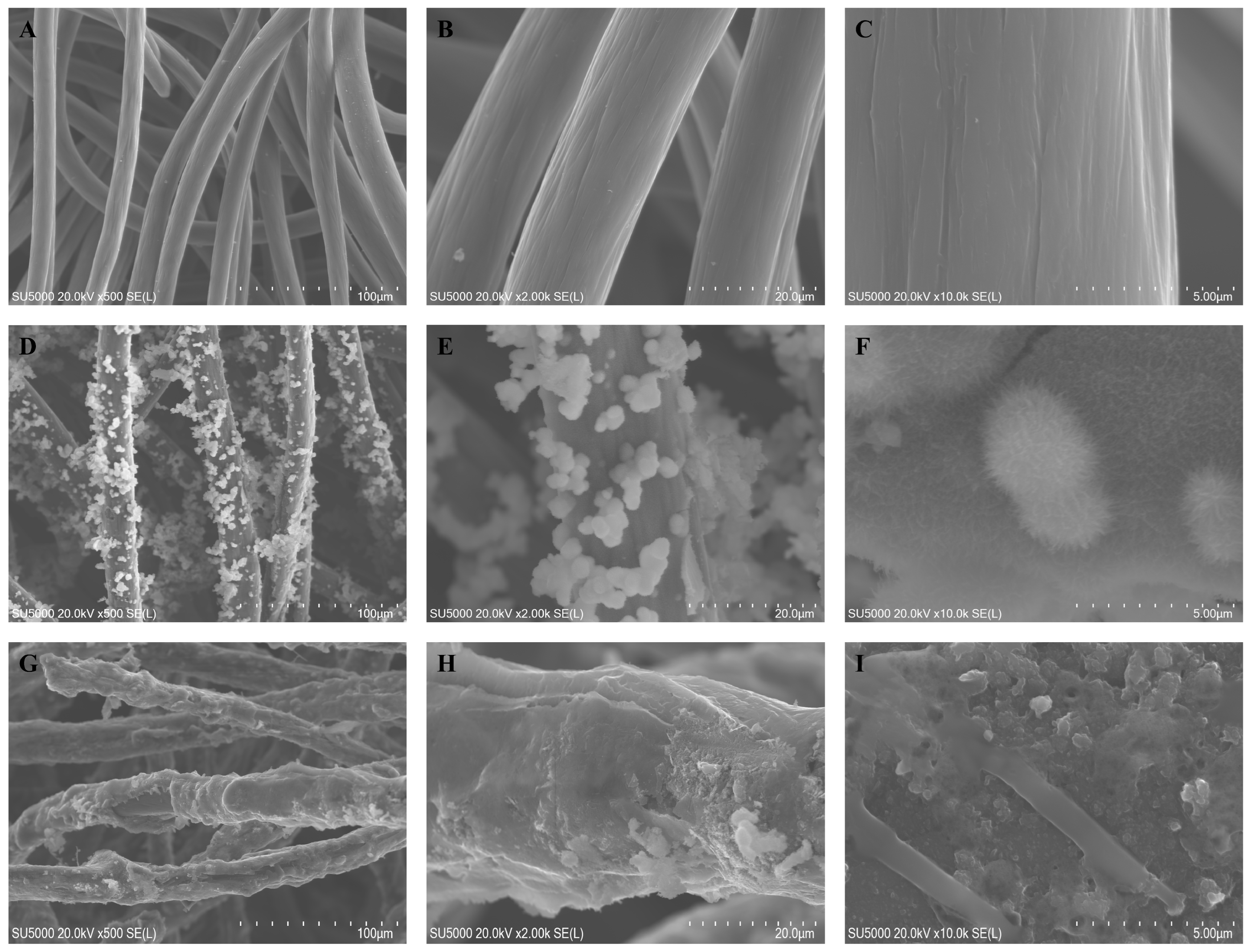 Coatings 15 00356 g002