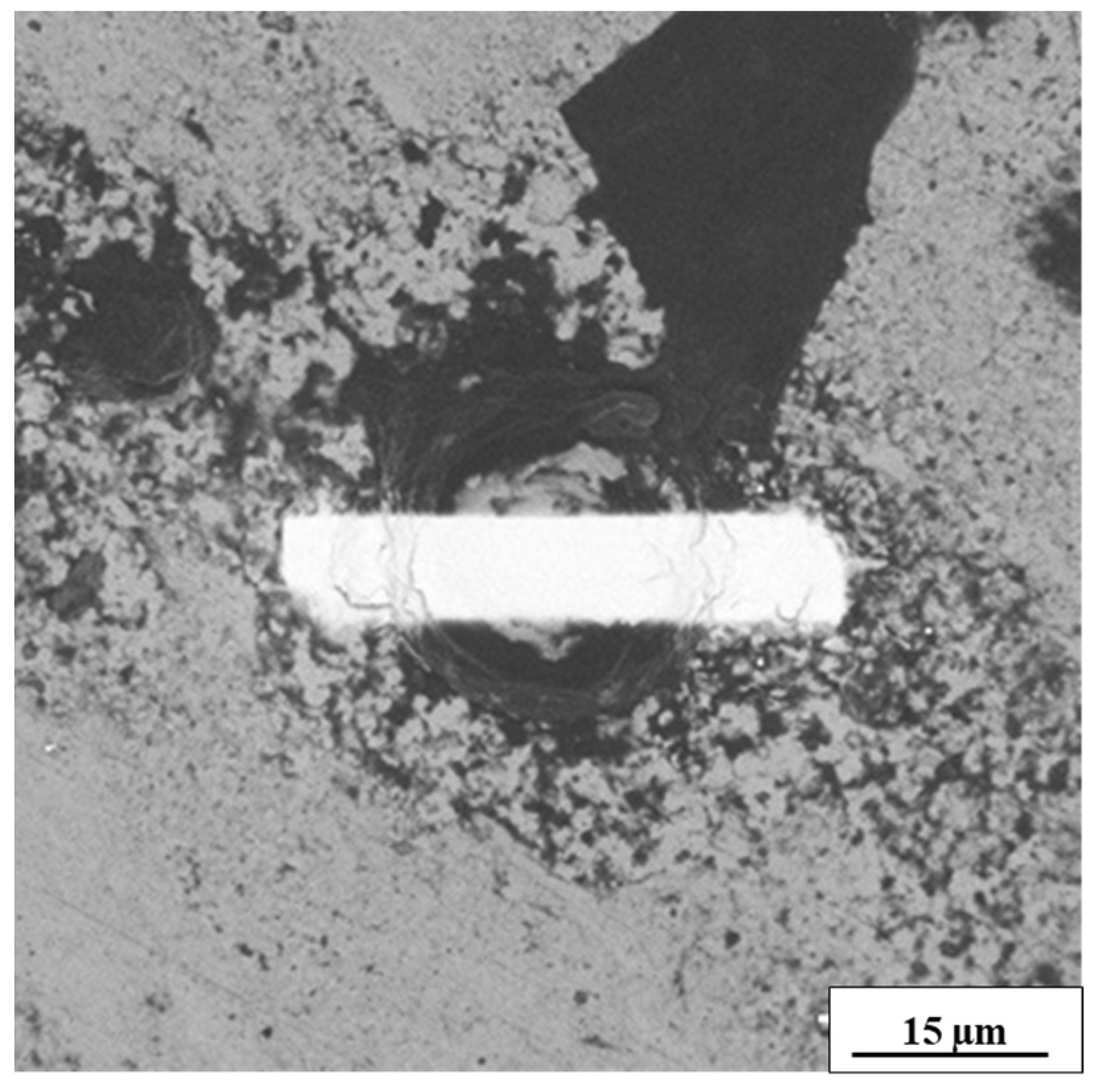 Coatings 15 00357 g003