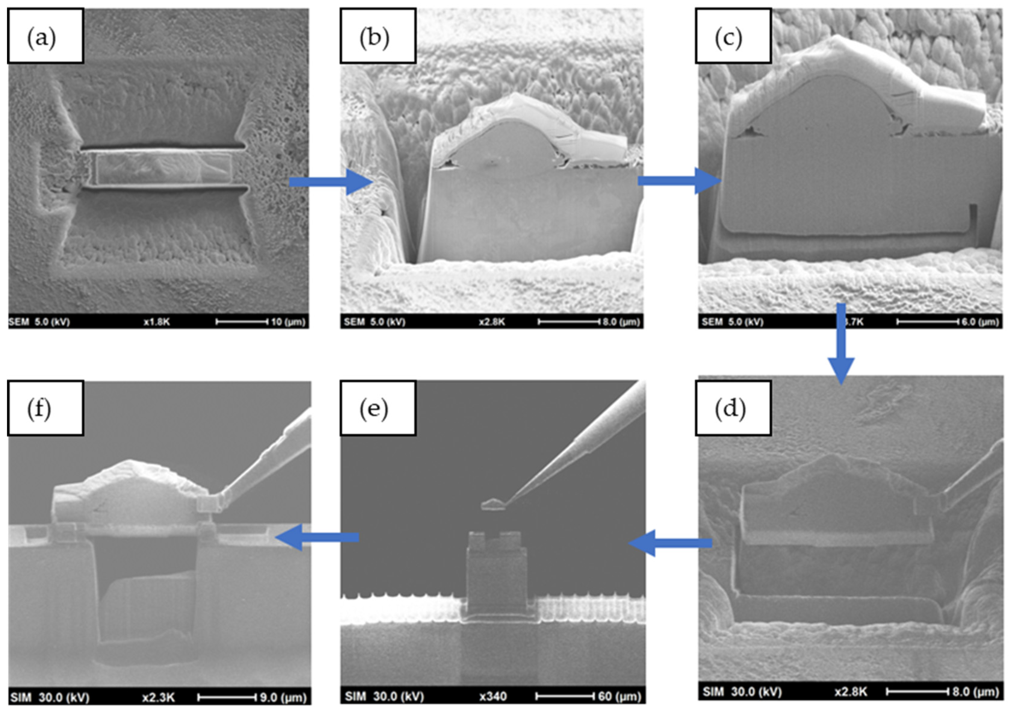 Coatings 15 00357 g004