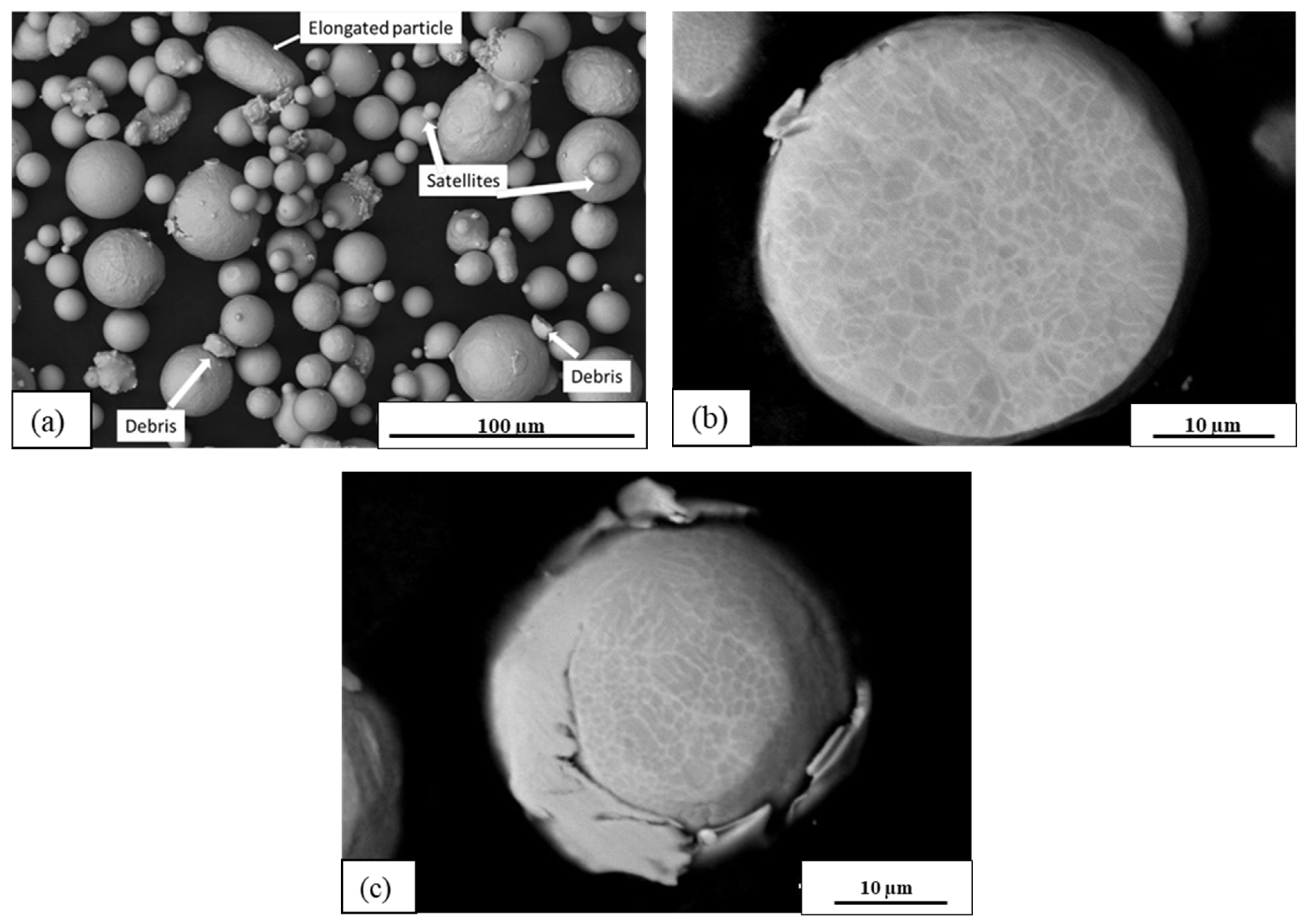 Coatings 15 00357 g005