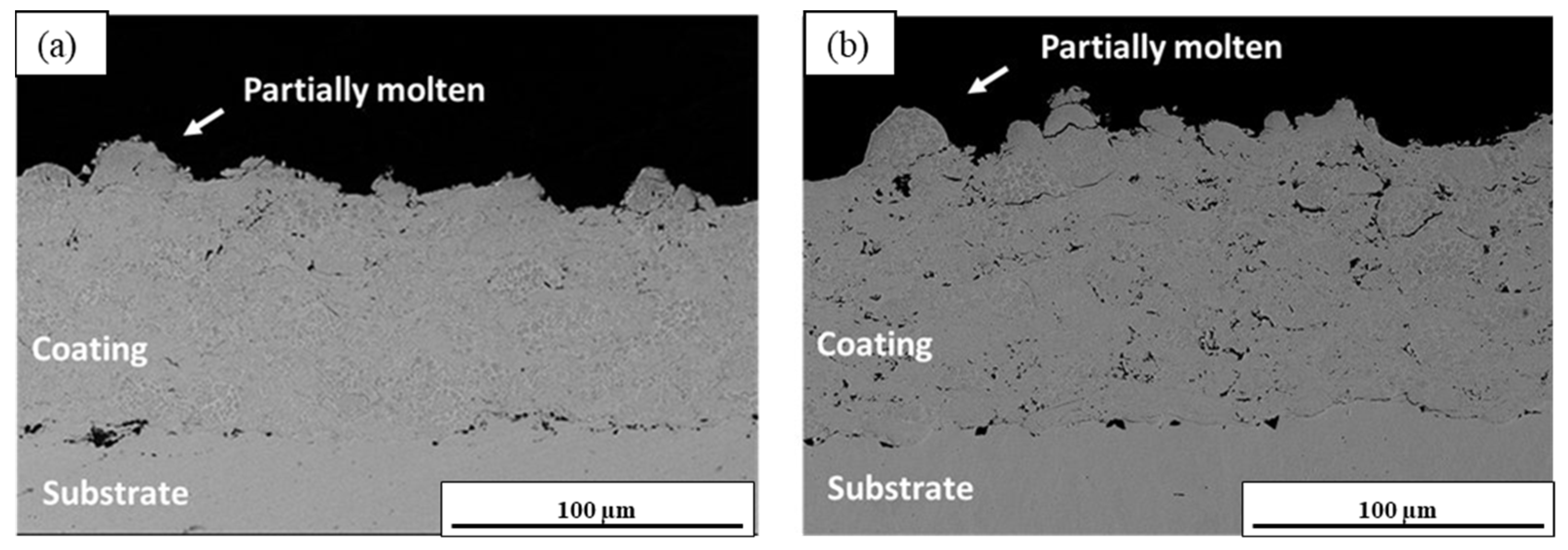 Coatings 15 00357 g007