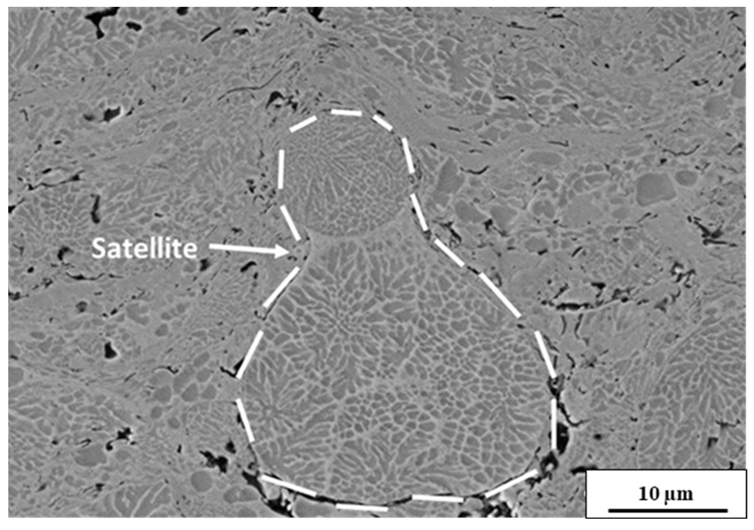 Coatings 15 00357 g008