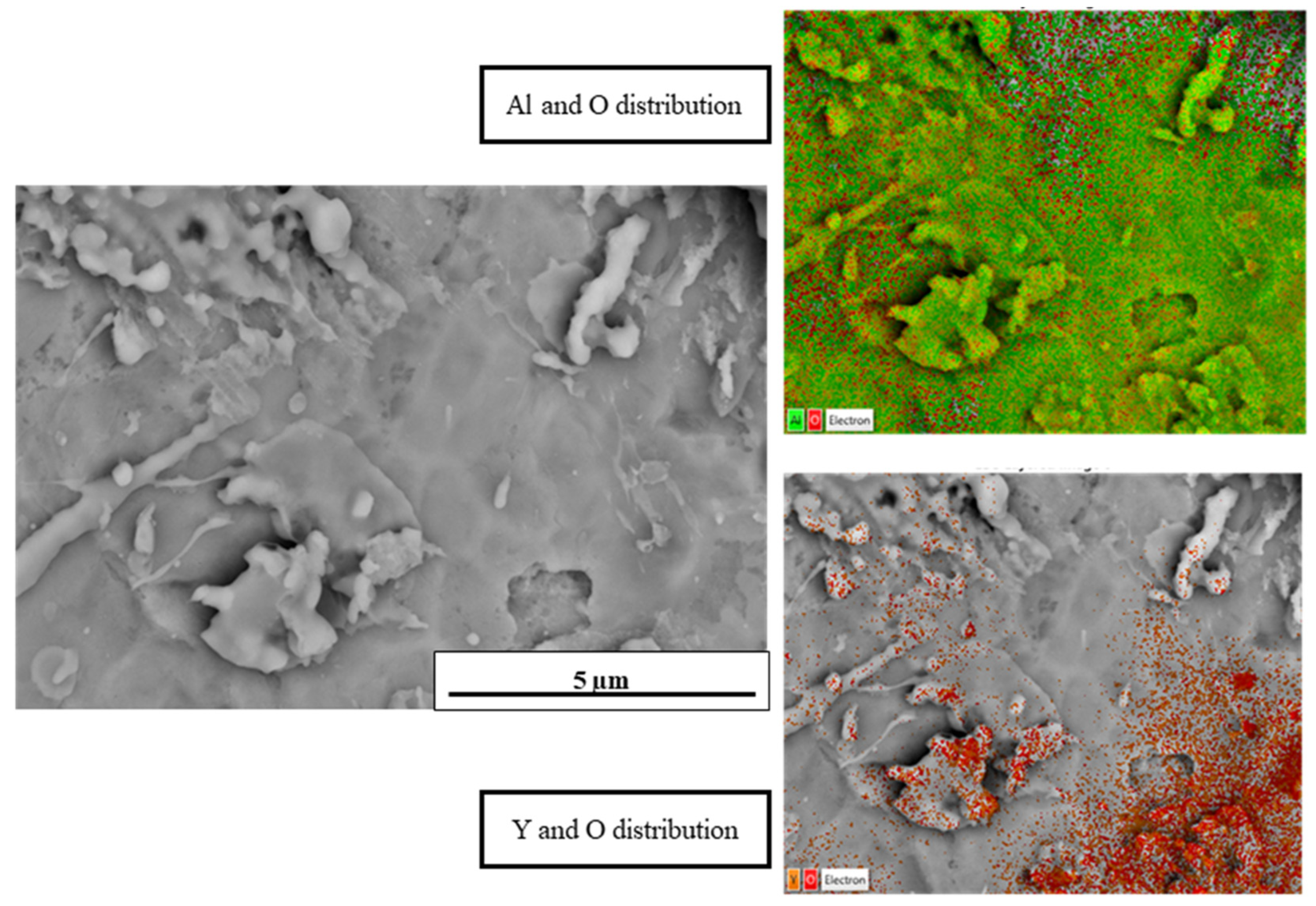 Coatings 15 00357 g010
