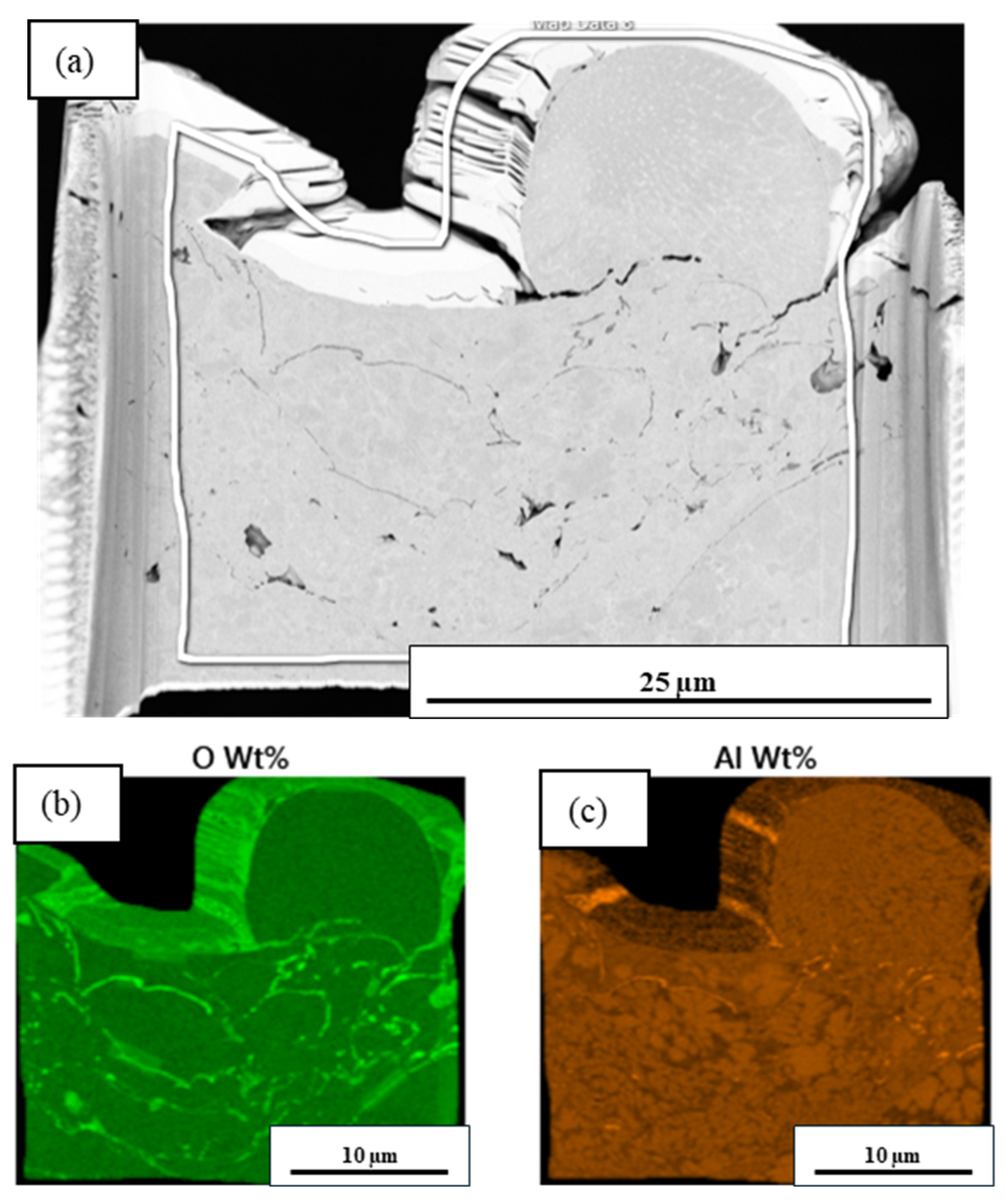 Coatings 15 00357 g013