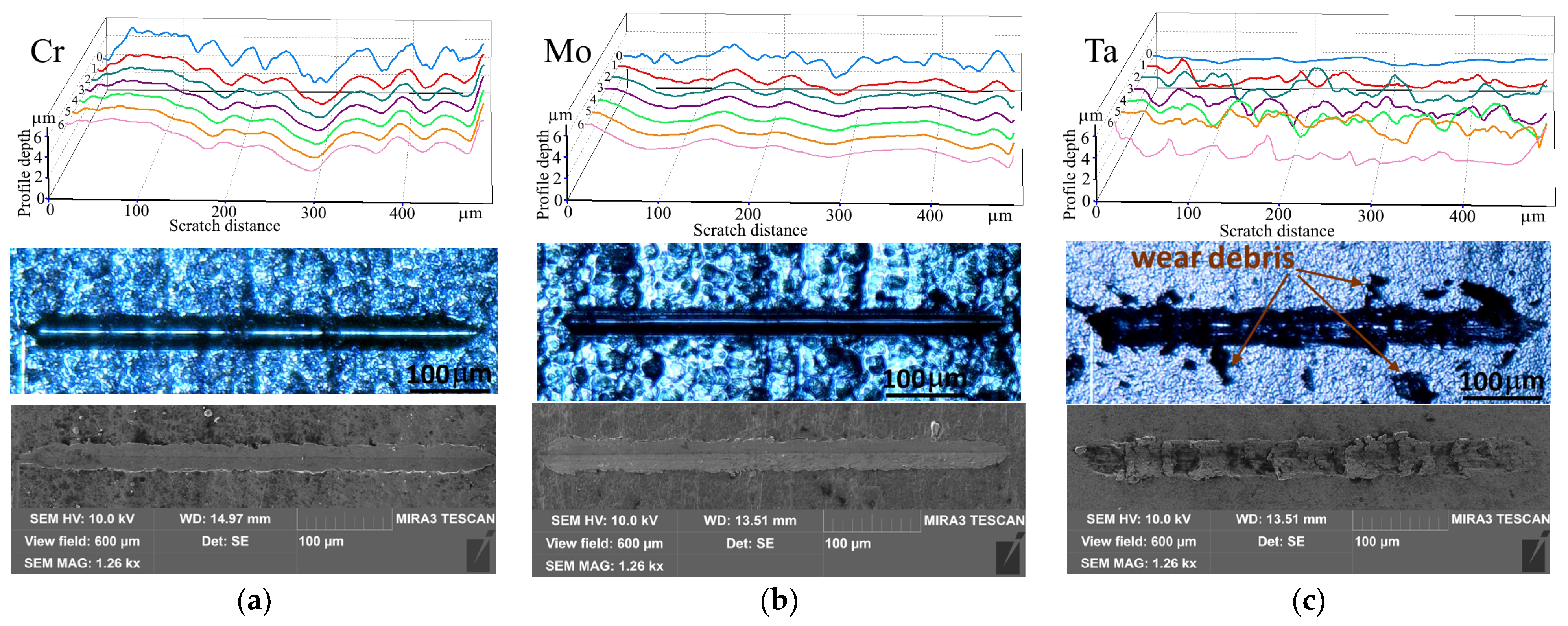 Coatings 15 00358 g008