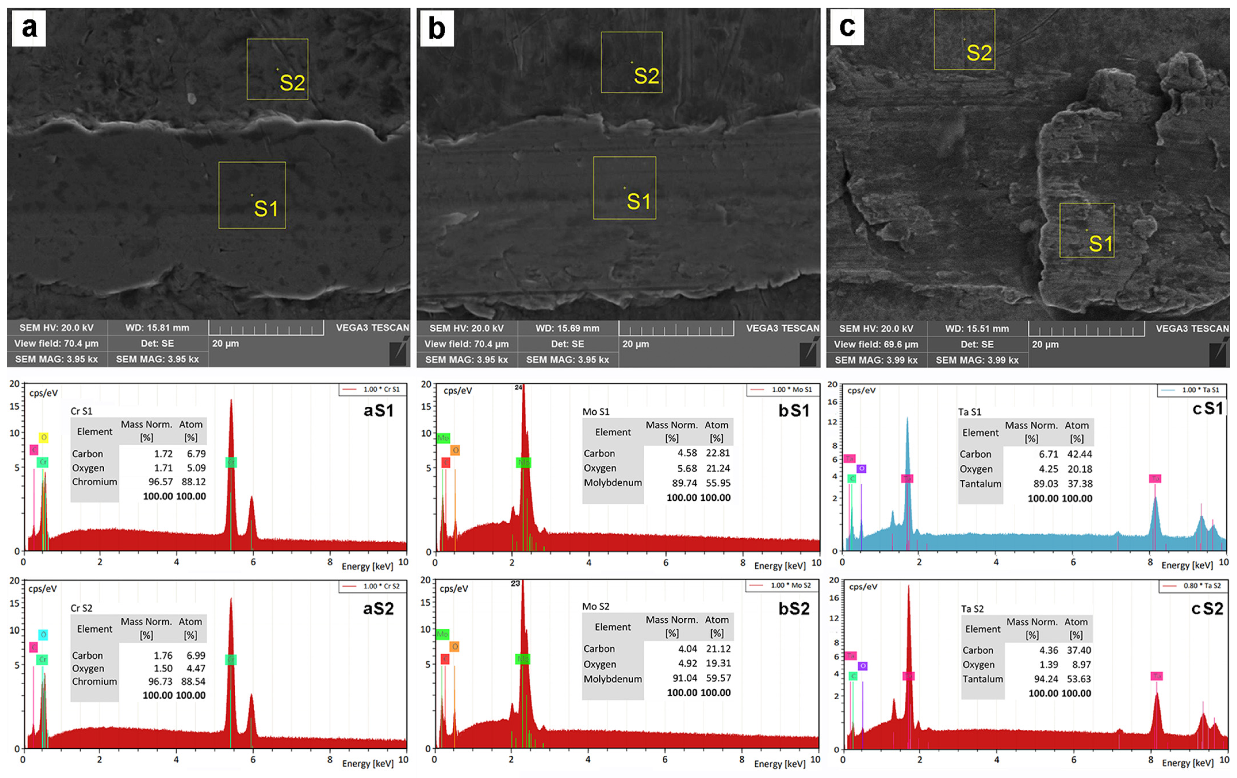 Coatings 15 00358 g010