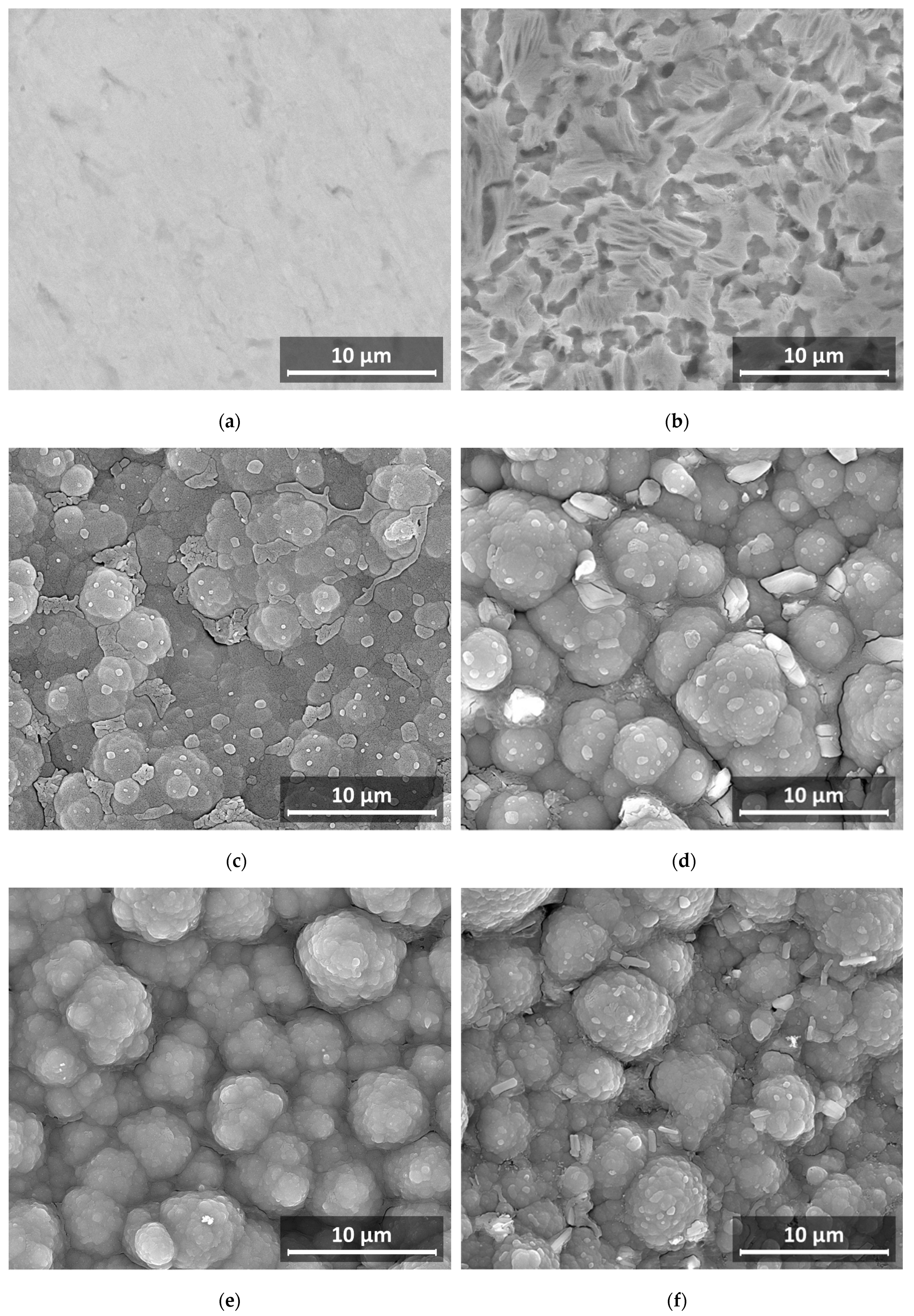 Coatings 15 00359 g011a