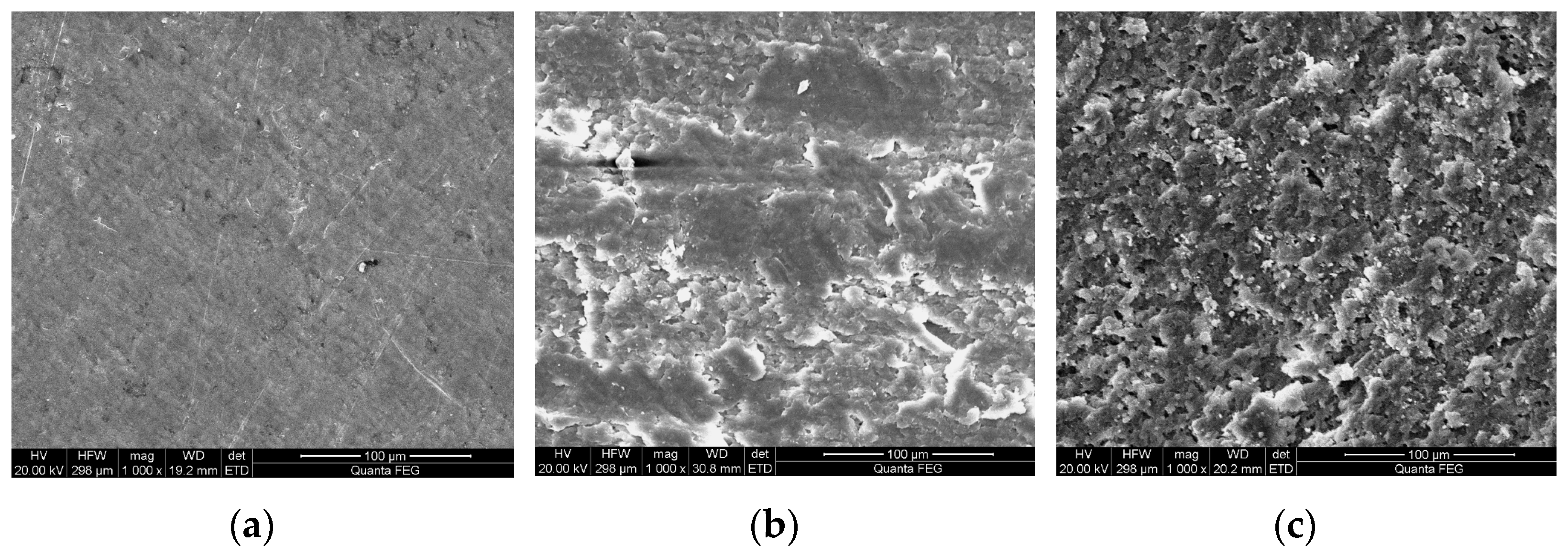Coatings 15 00360 g002