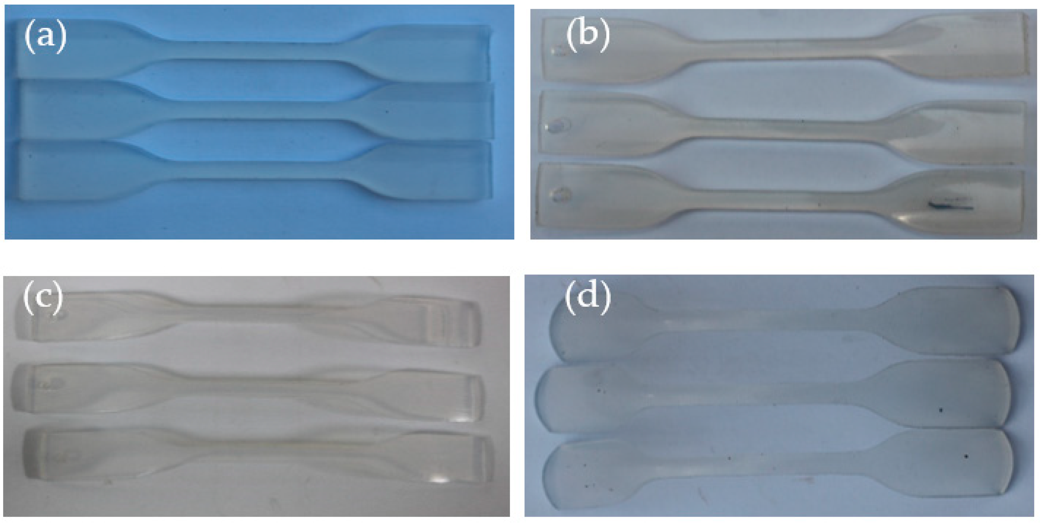 Coatings 15 00360 g012