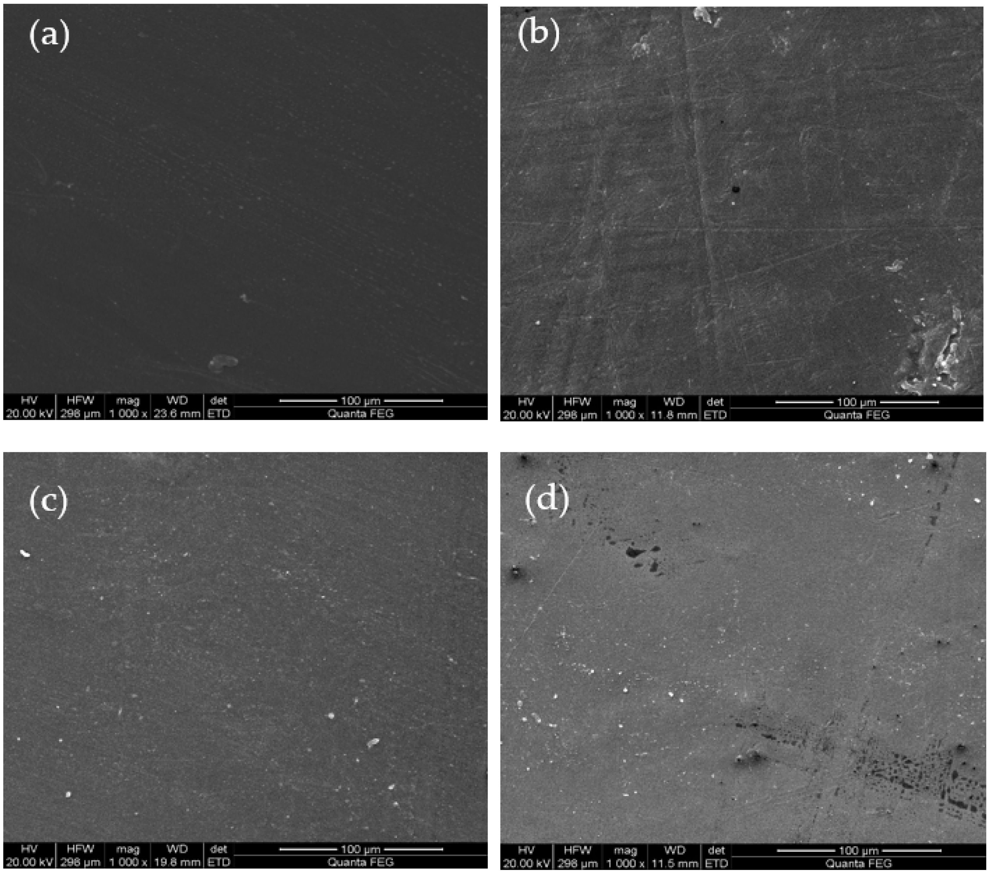 Coatings 15 00360 g013